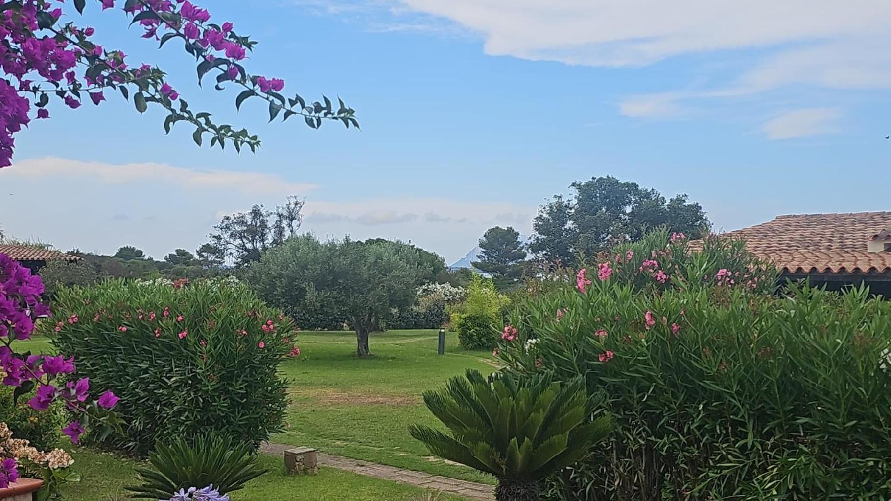 San Teodoro Beach Villa 86b