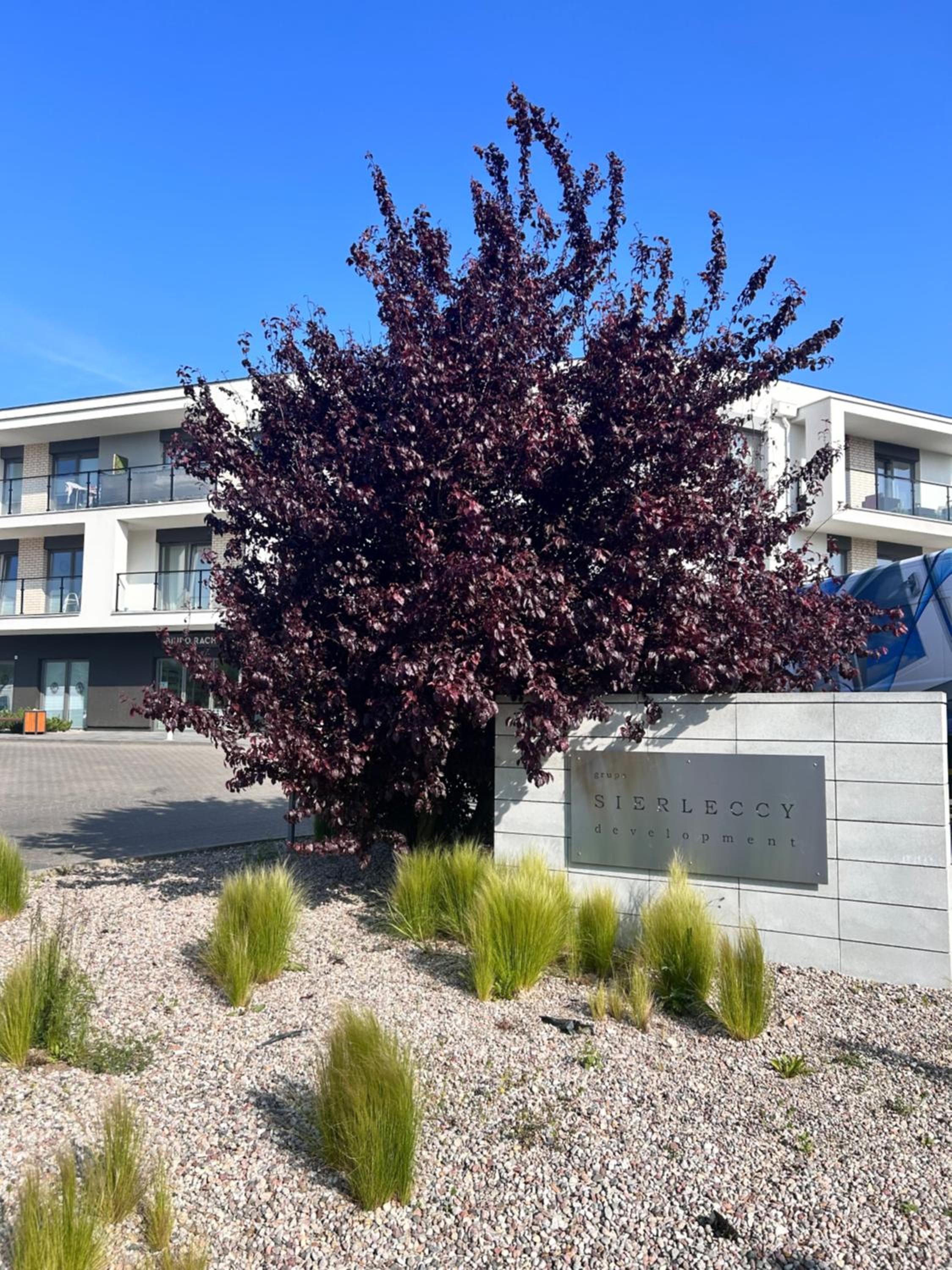 Apartament w Słupsku z klimatyzacją balkonem parkingiem, photo 3
