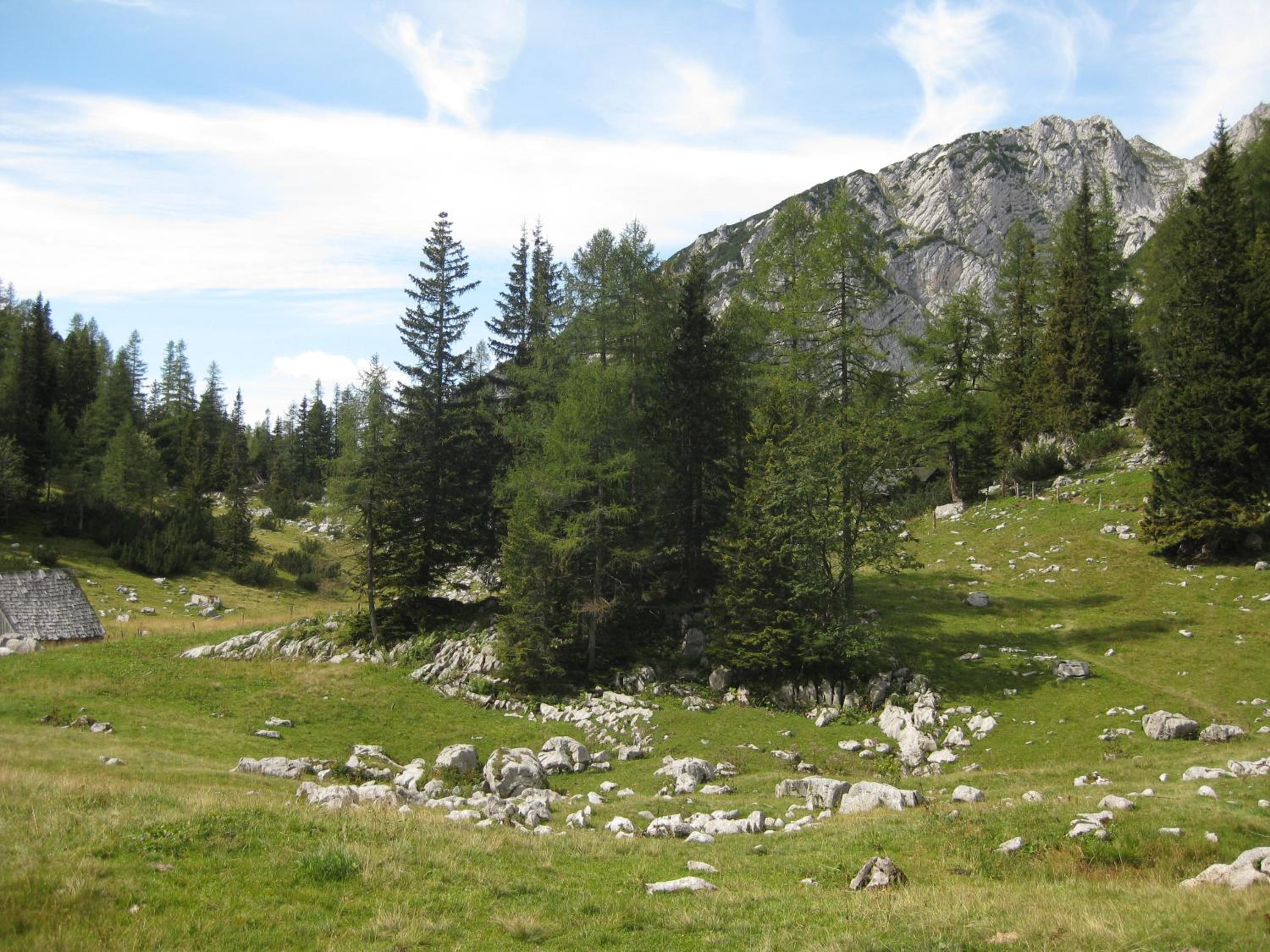Huberbauer