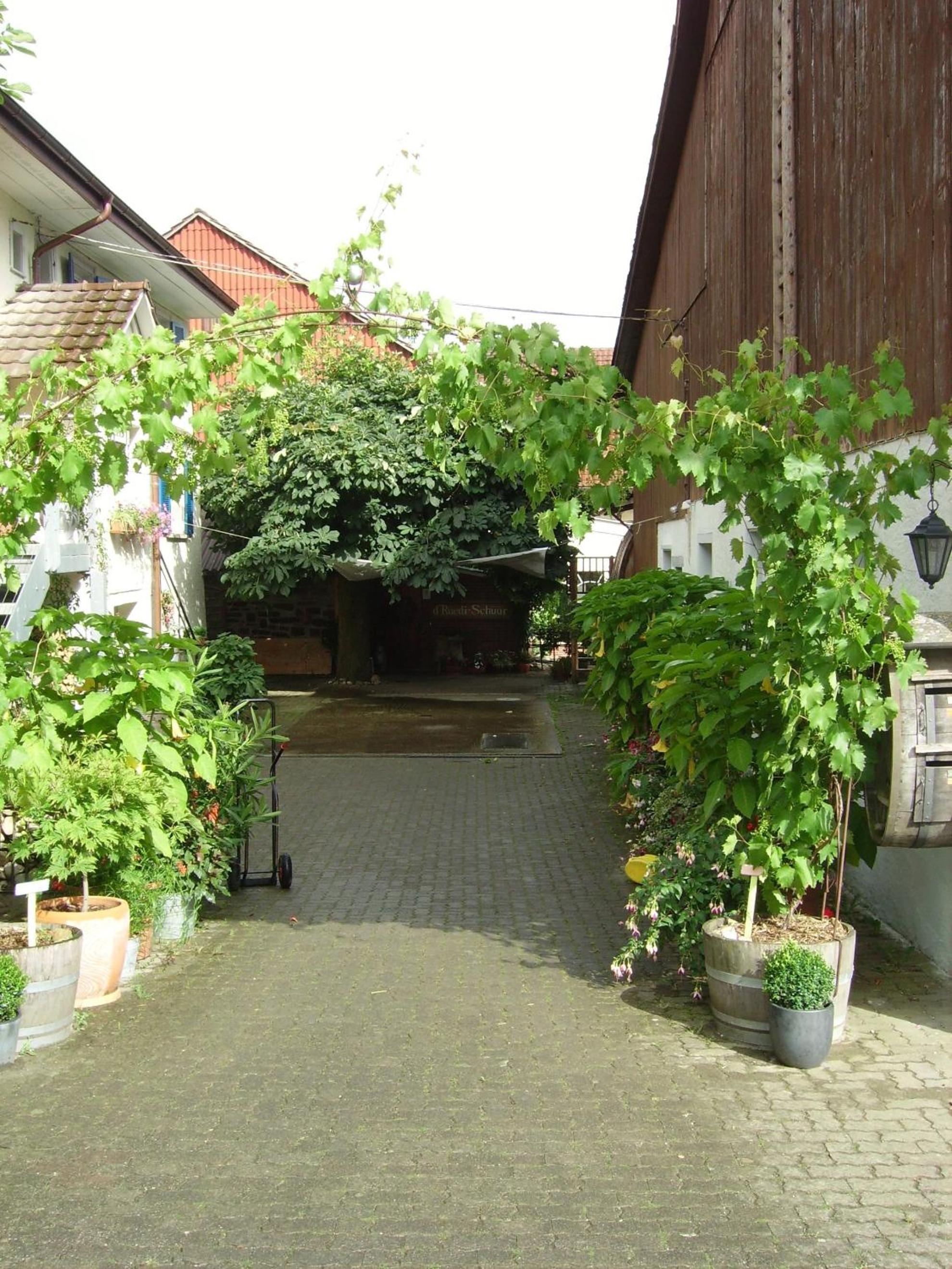 Rüedi - WeinFassHotel