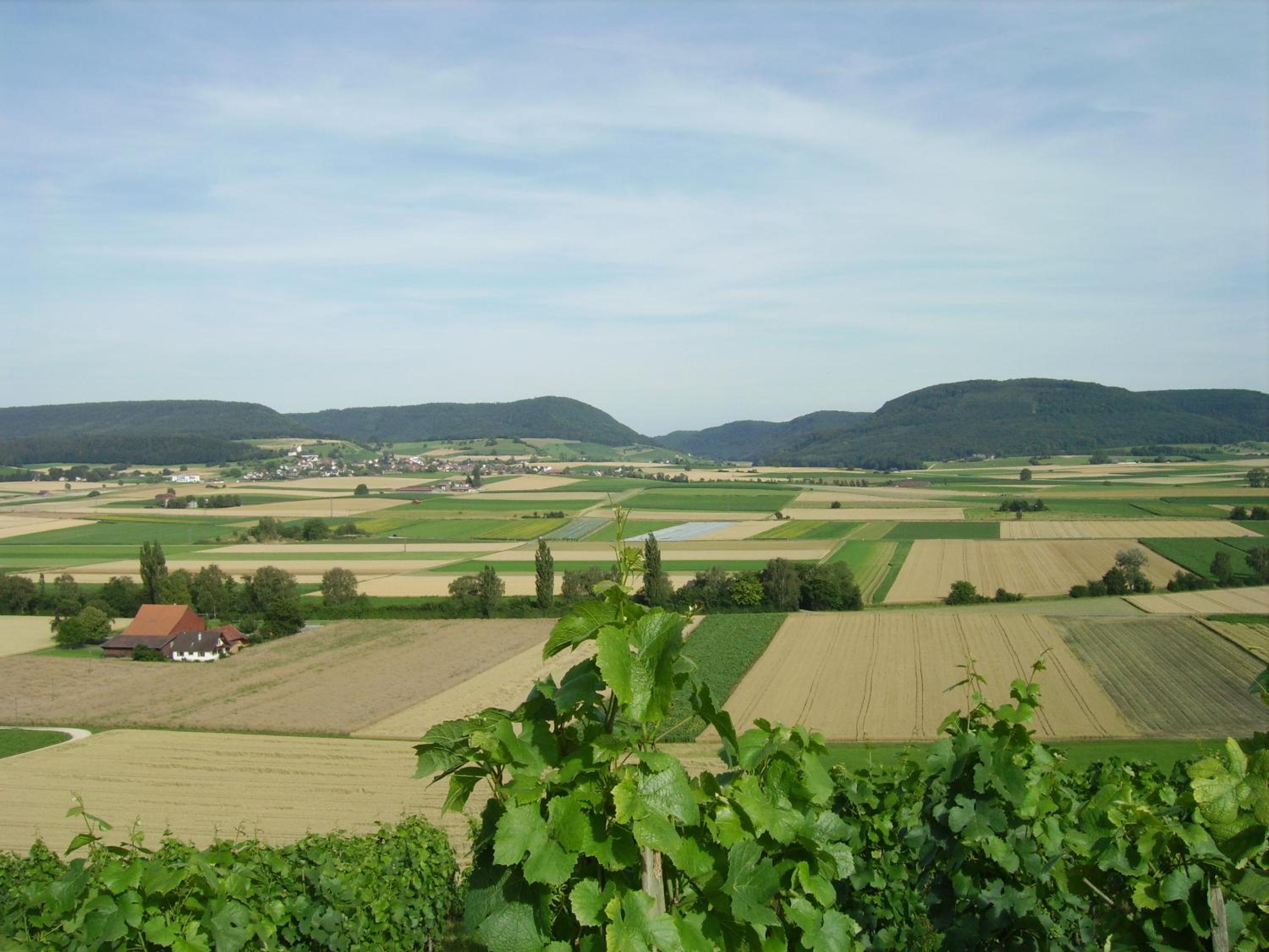 Rüedi - WeinFassHotel