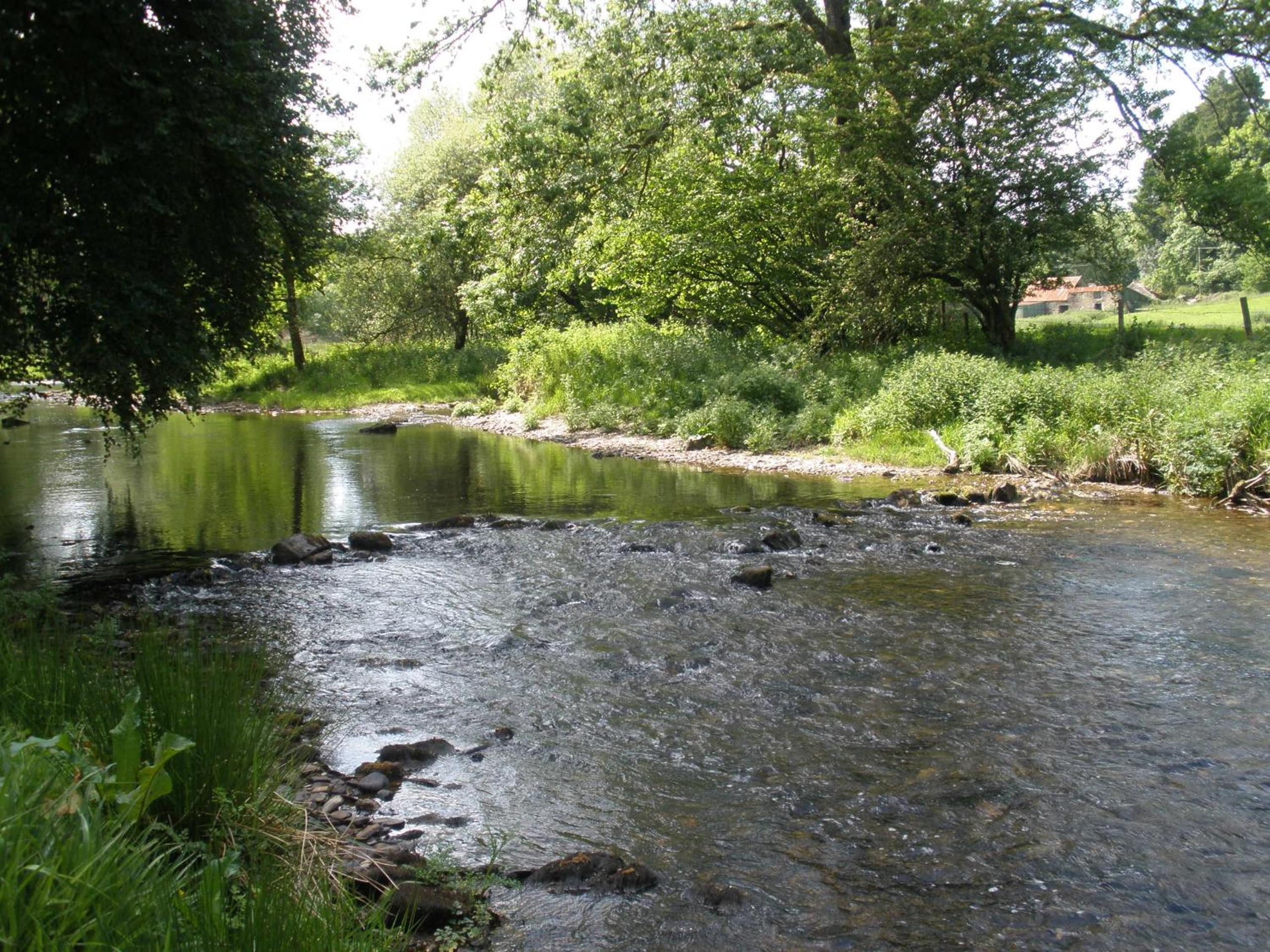 Kings Farm