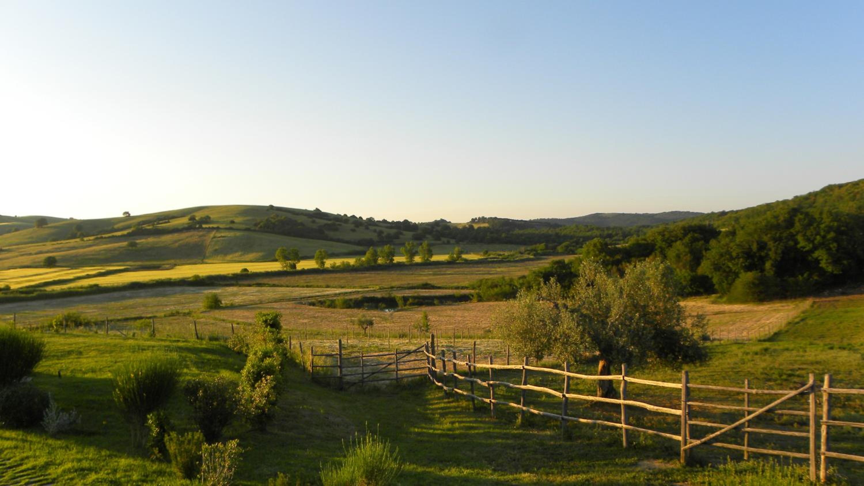 Macchiabuia