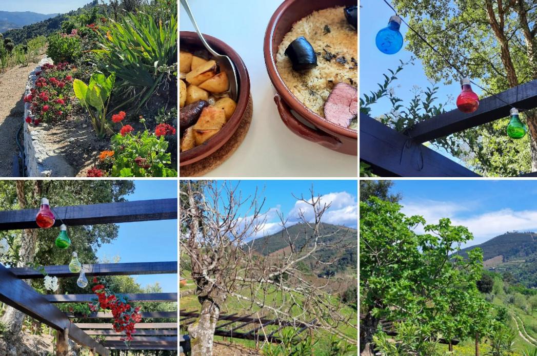 Bosque da Fantasia