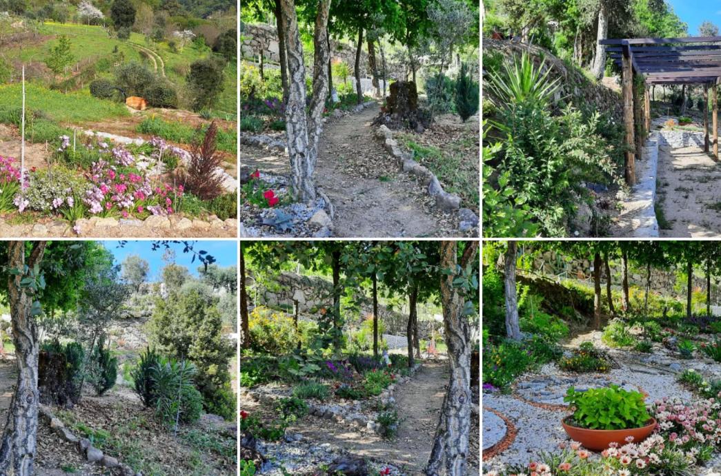 Bosque da Fantasia