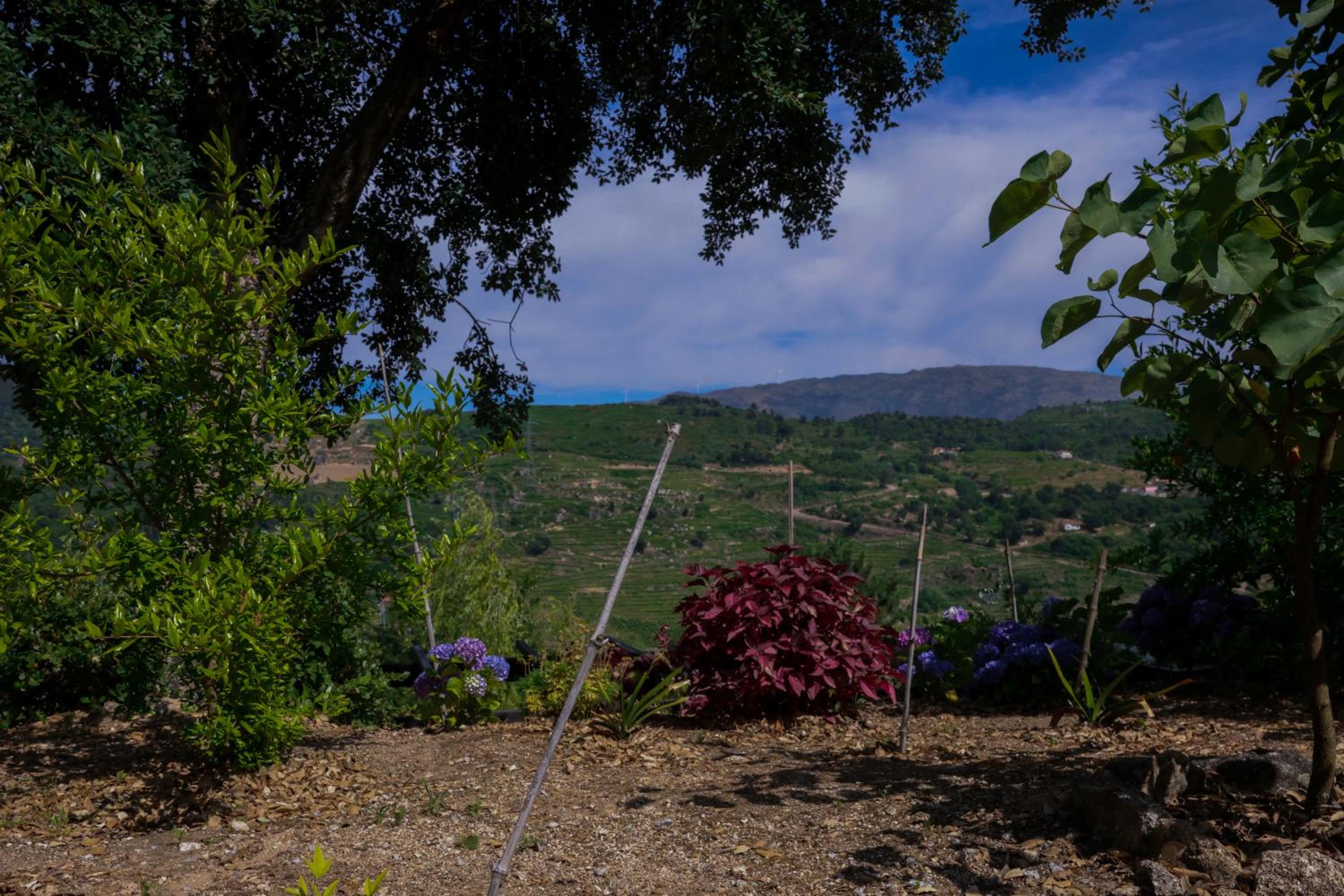 Bosque da Fantasia