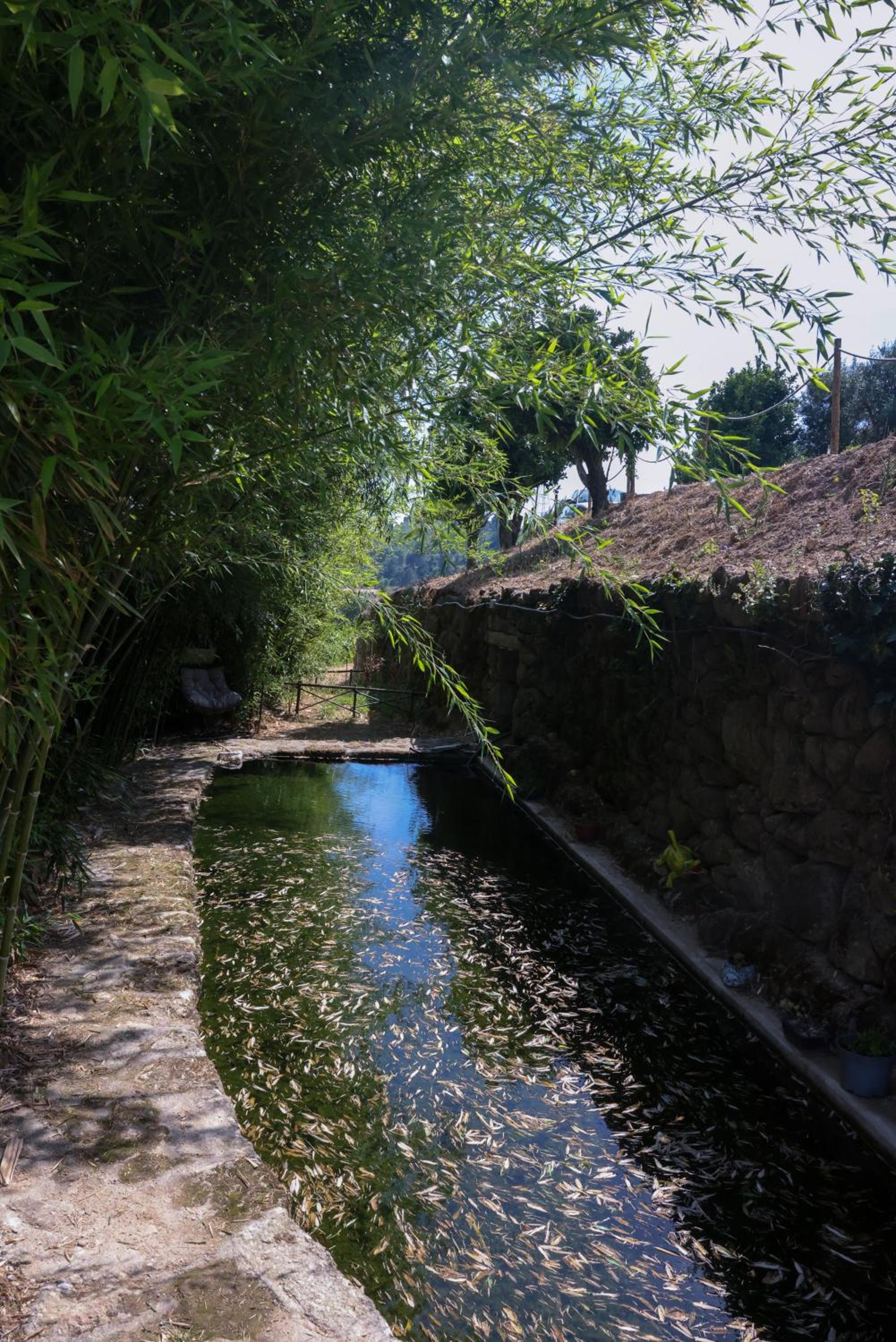 Bosque da Fantasia