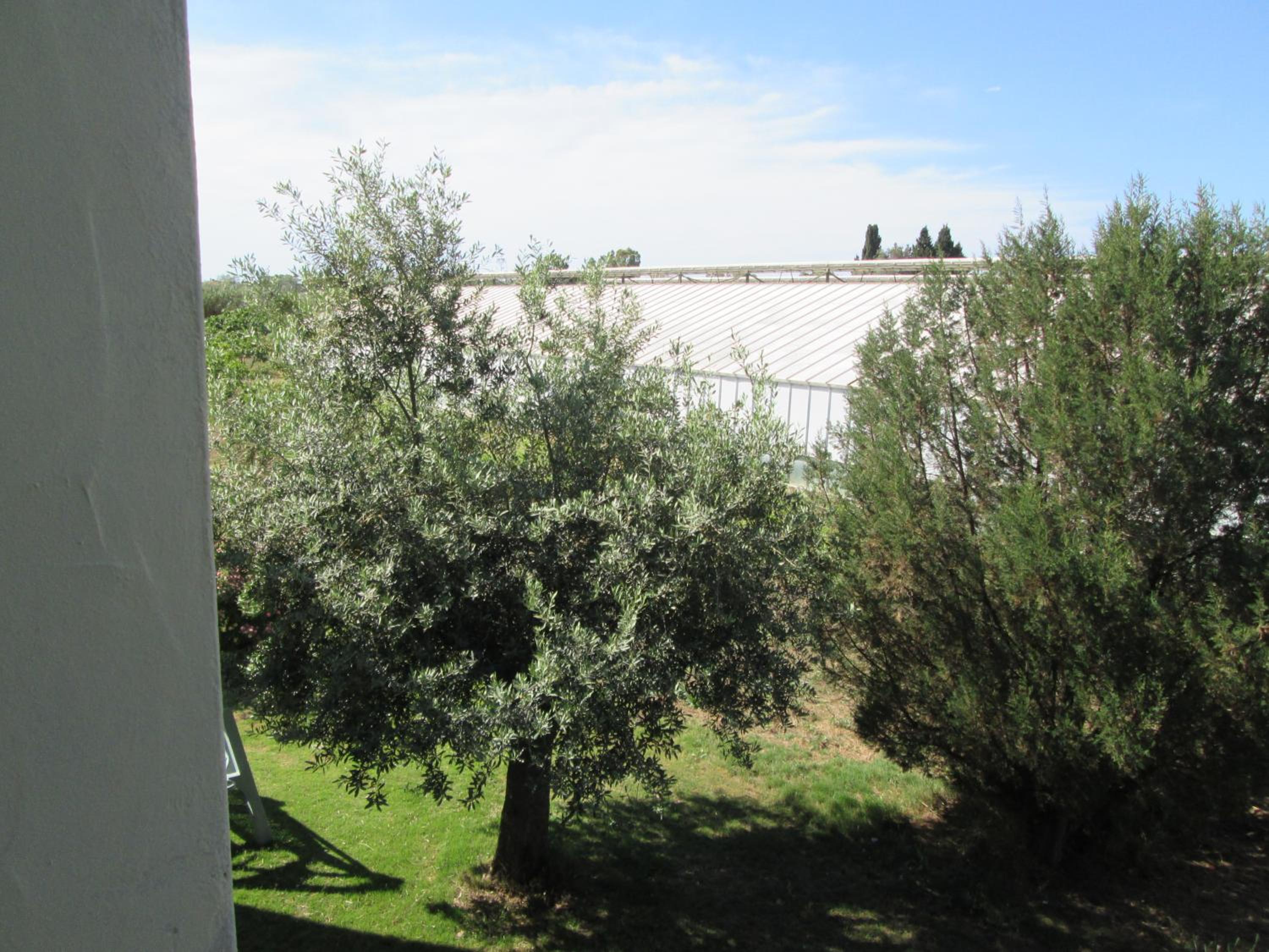 Agriturismo Bingia Bonaria photo 4