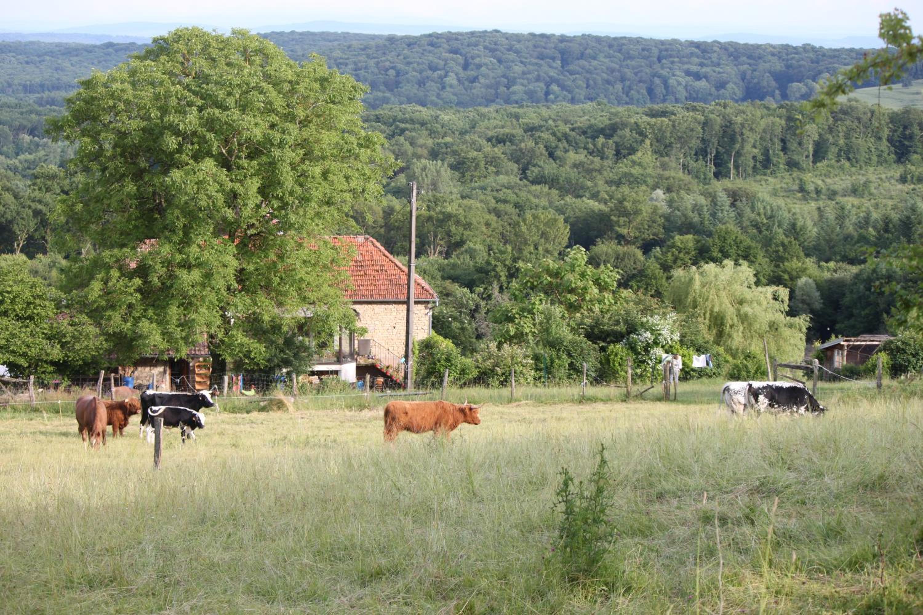 Ferme Pédagogique " L'Bout d'Chemin" view 2