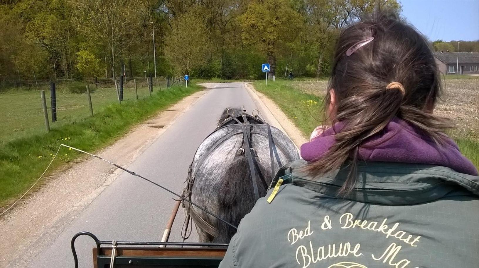 De Blauwe Maaten
