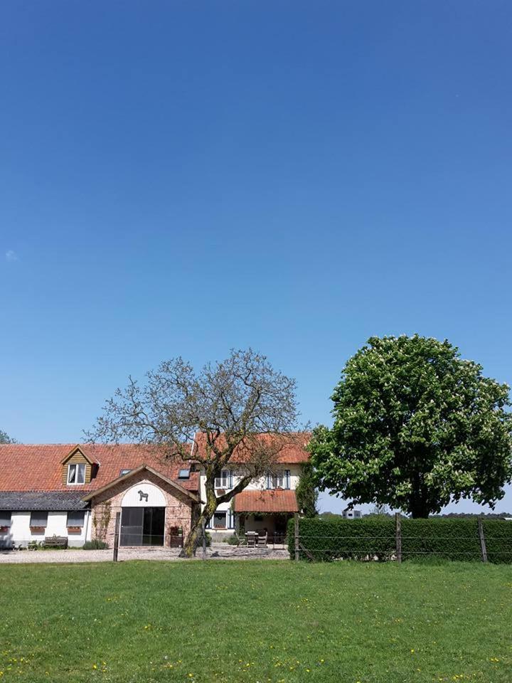 De Blauwe Maaten