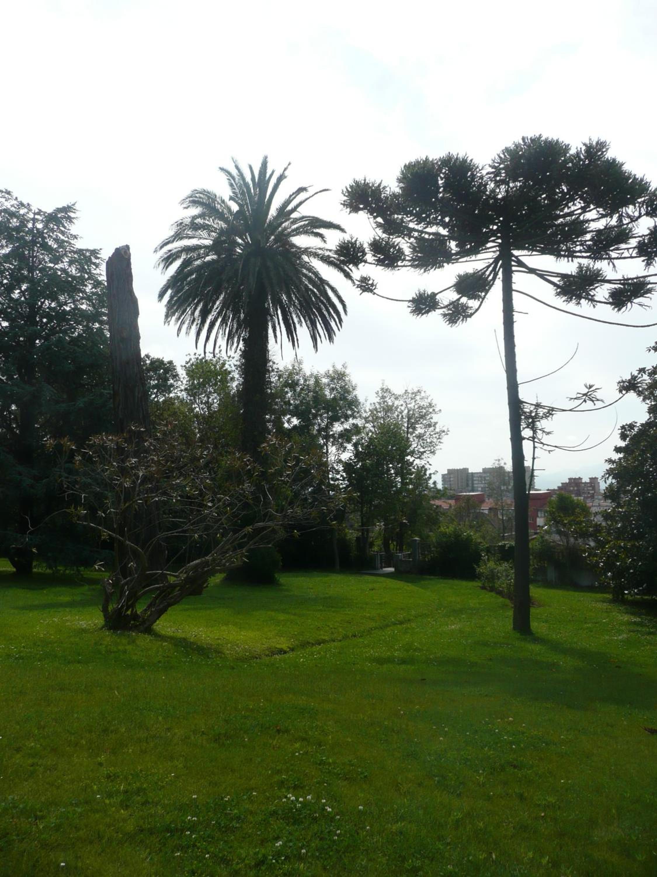 Las Carolinas Garden