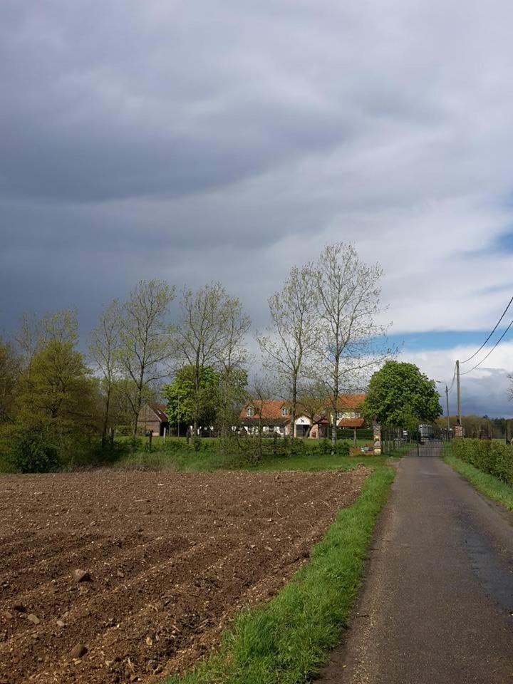 De Blauwe Maaten