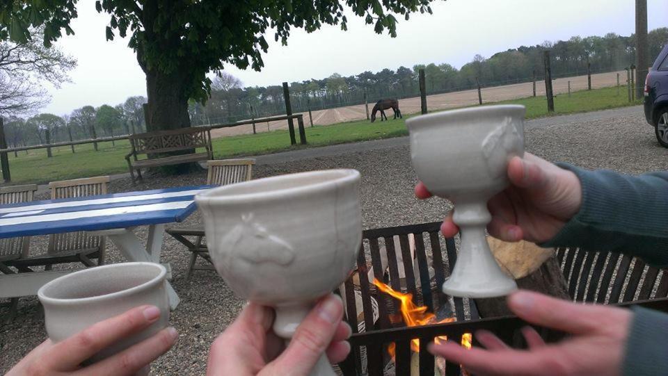 De Blauwe Maaten