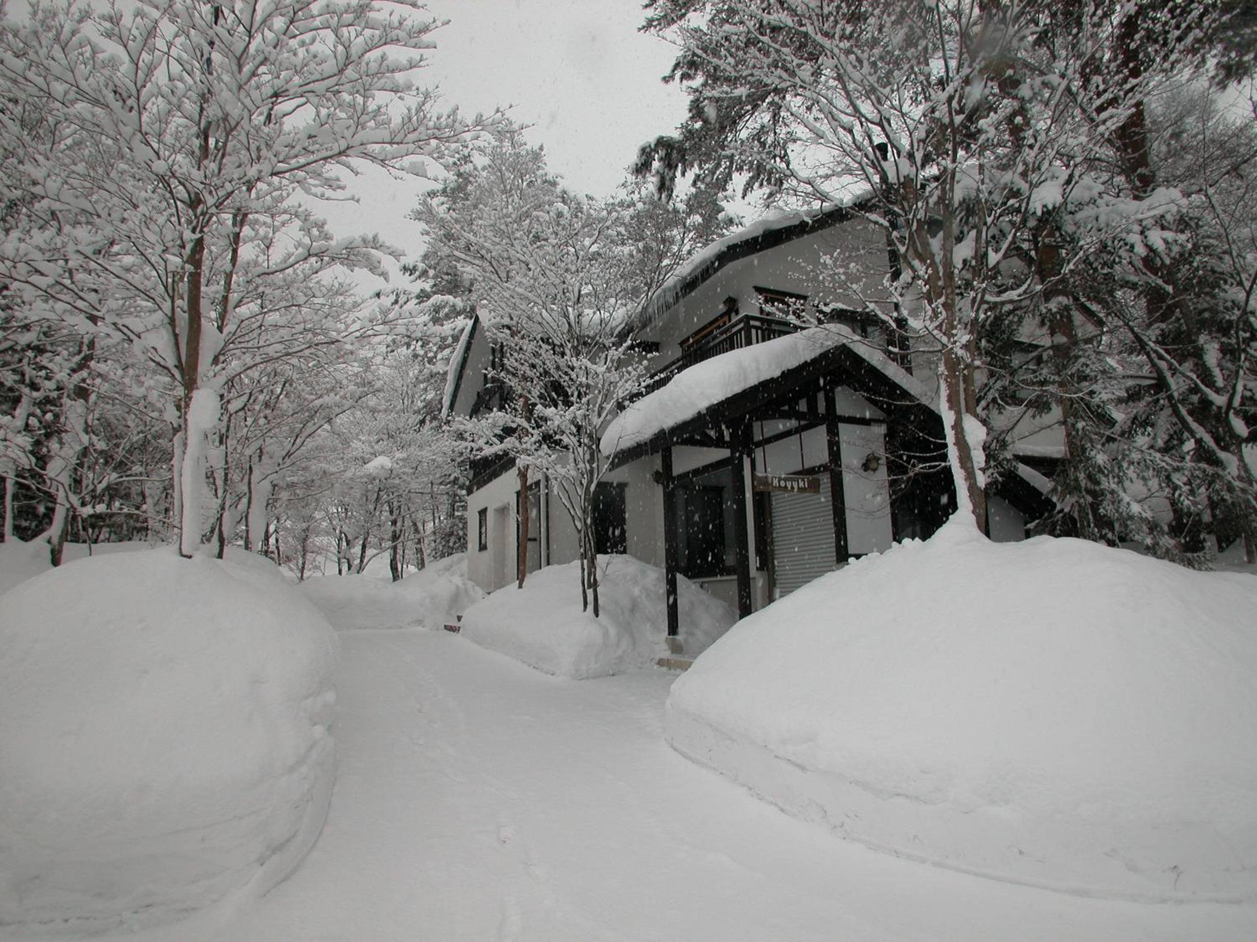 B&B Koyuki Hakuba