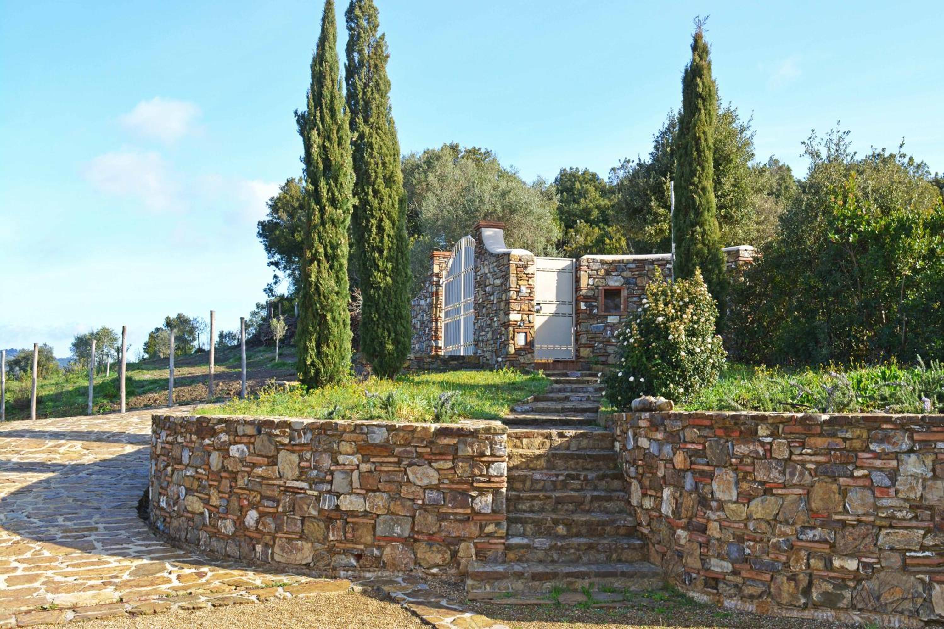 Photo 45