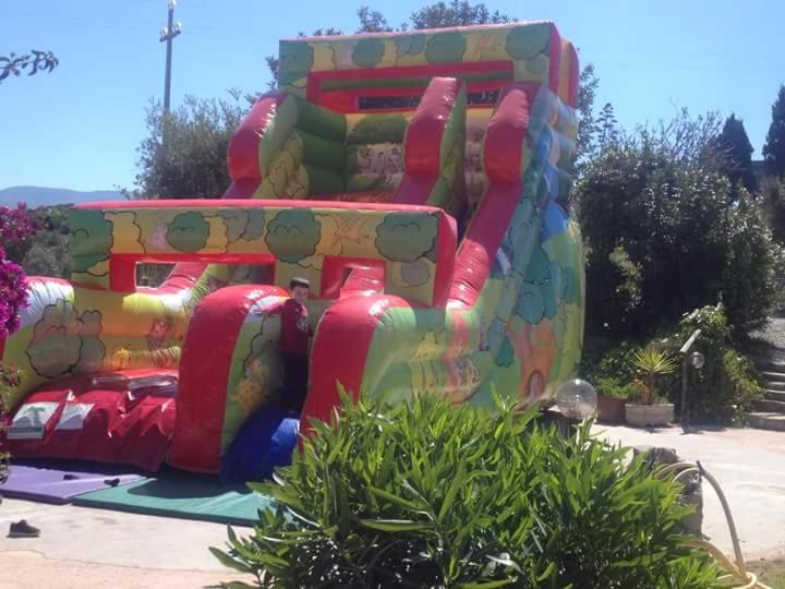 Photo 14