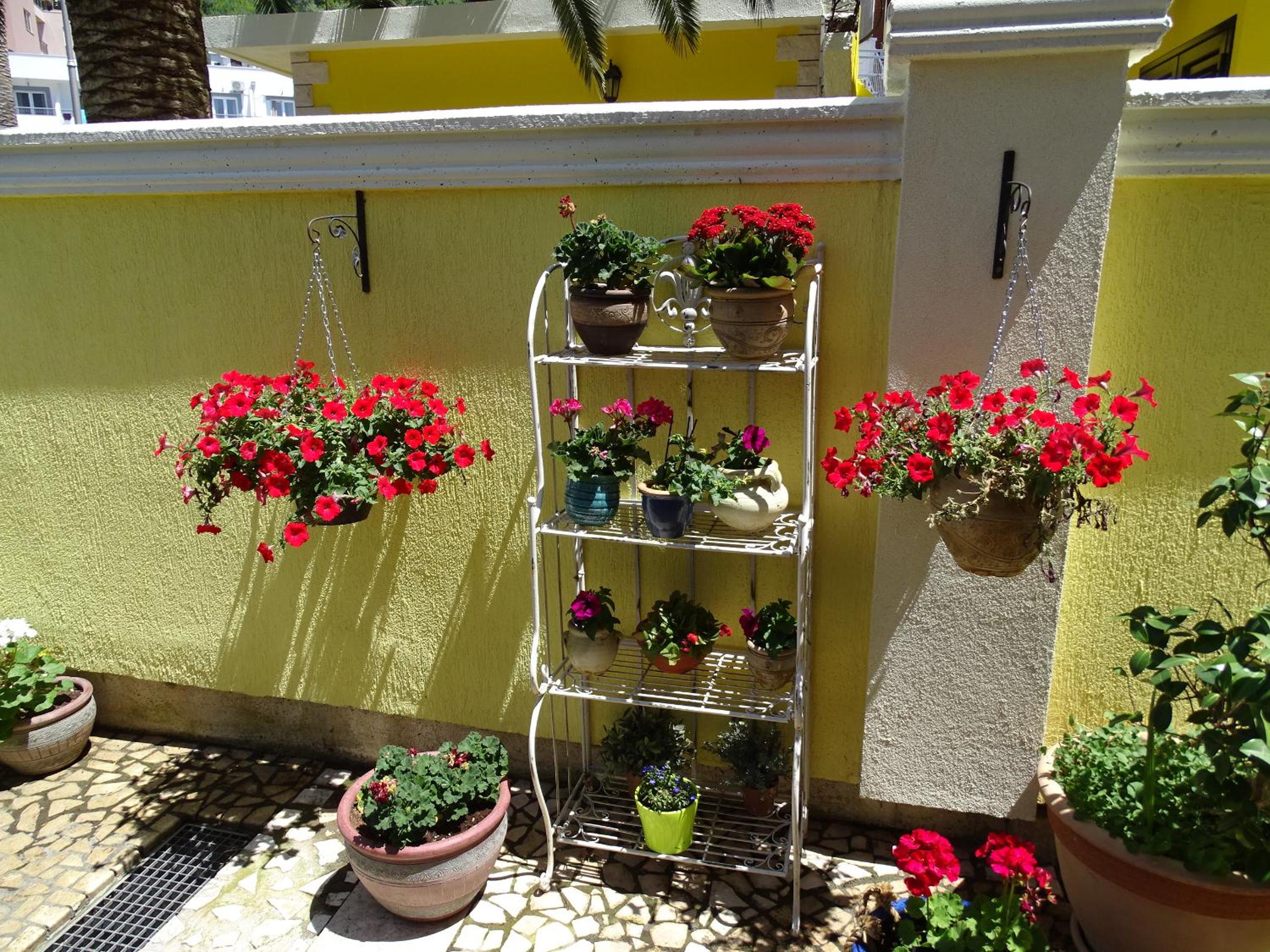 Photo 21