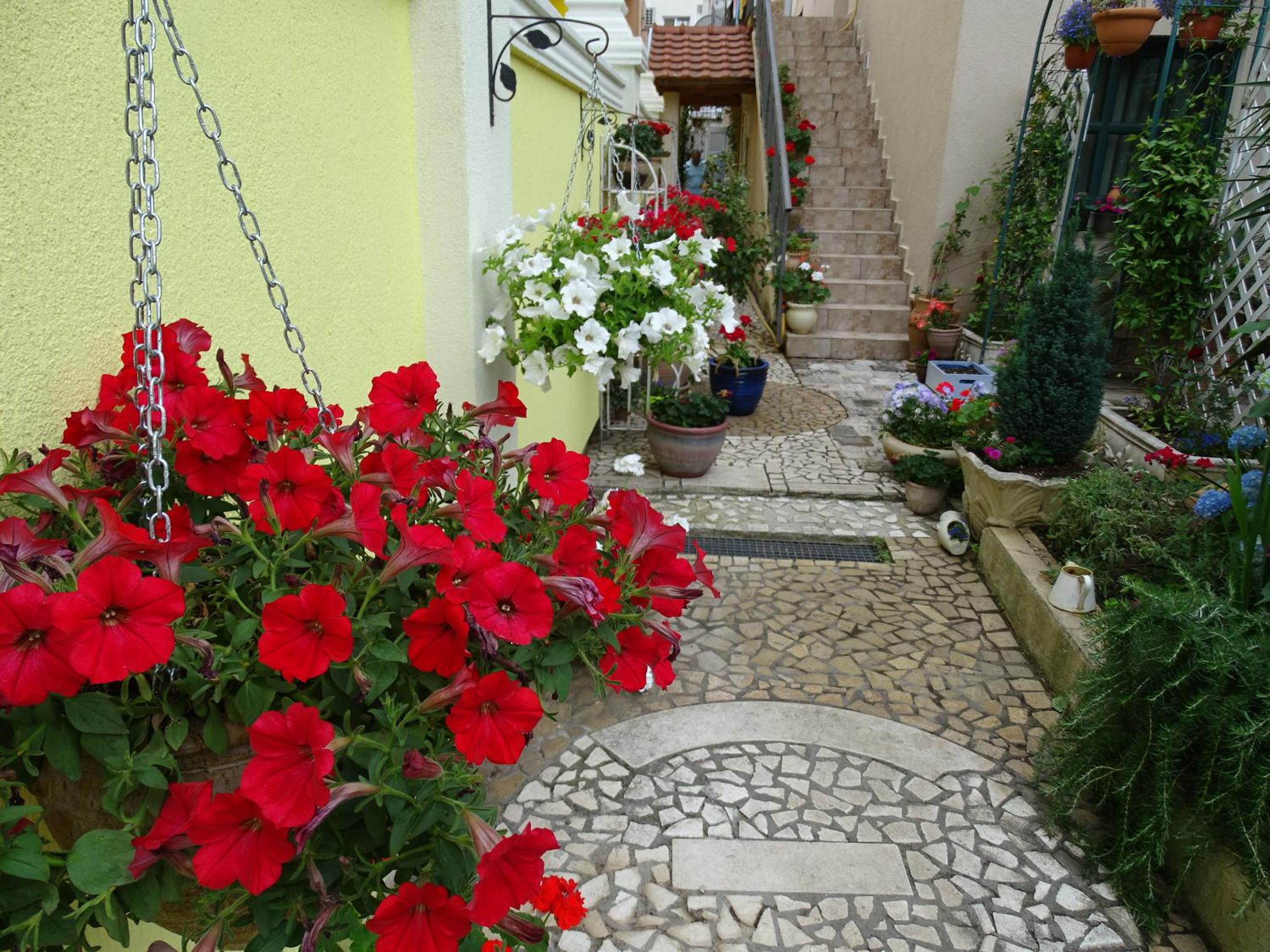 Photo 22