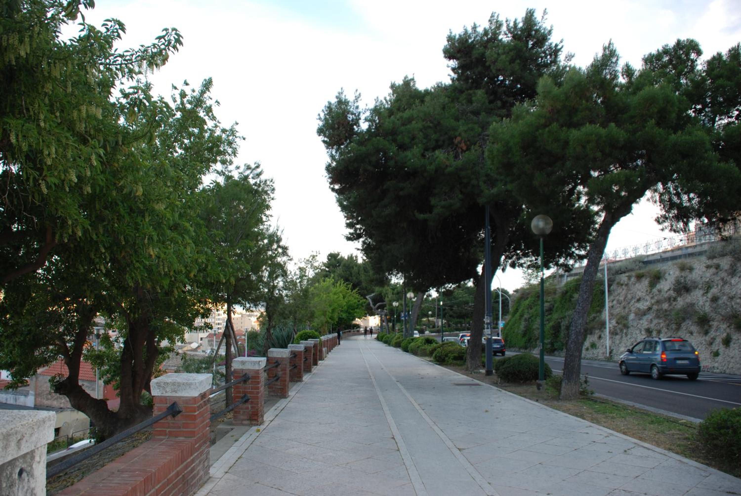 Photo 51