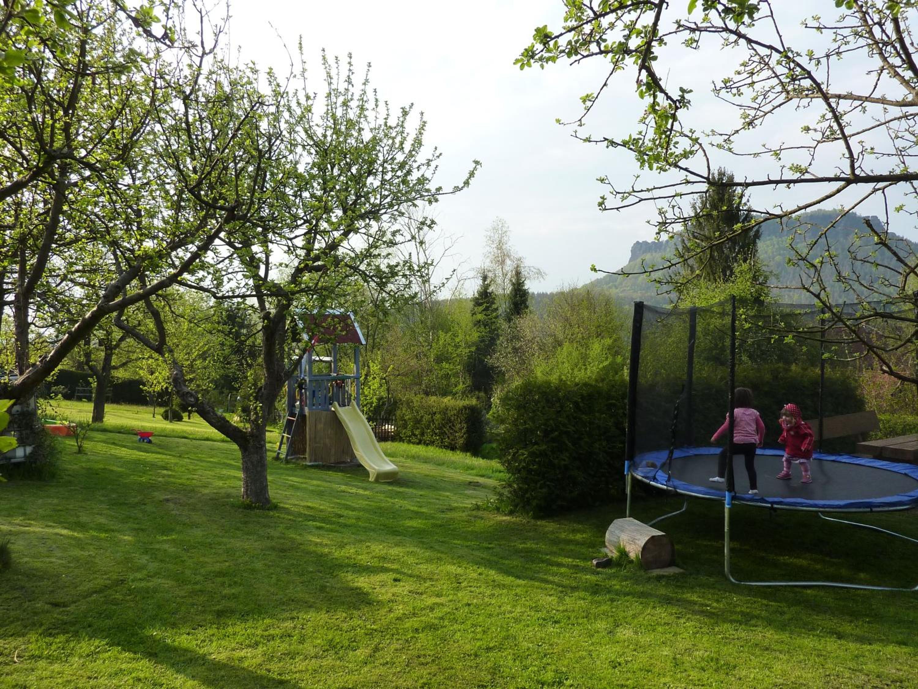 Photo 46