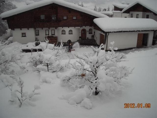 Photo 8