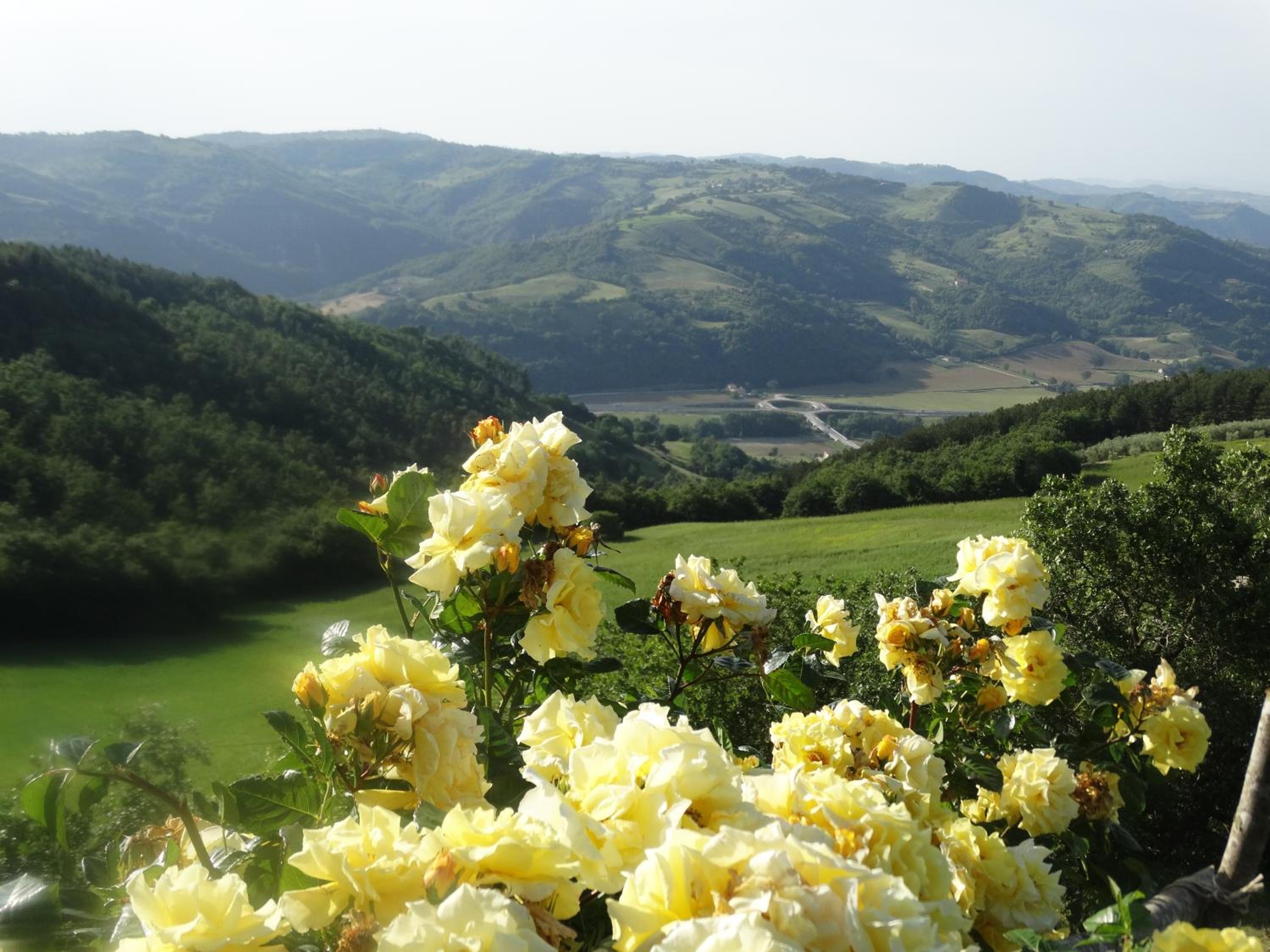 Agriturismo La Terrazza