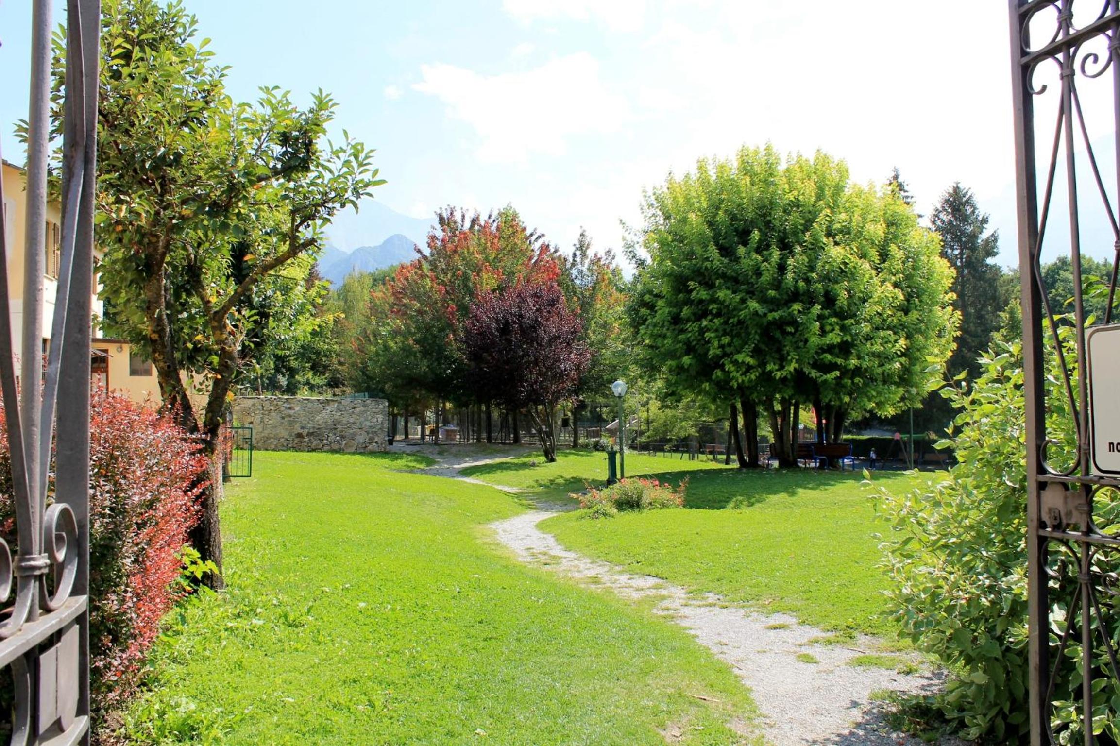 Photo 11