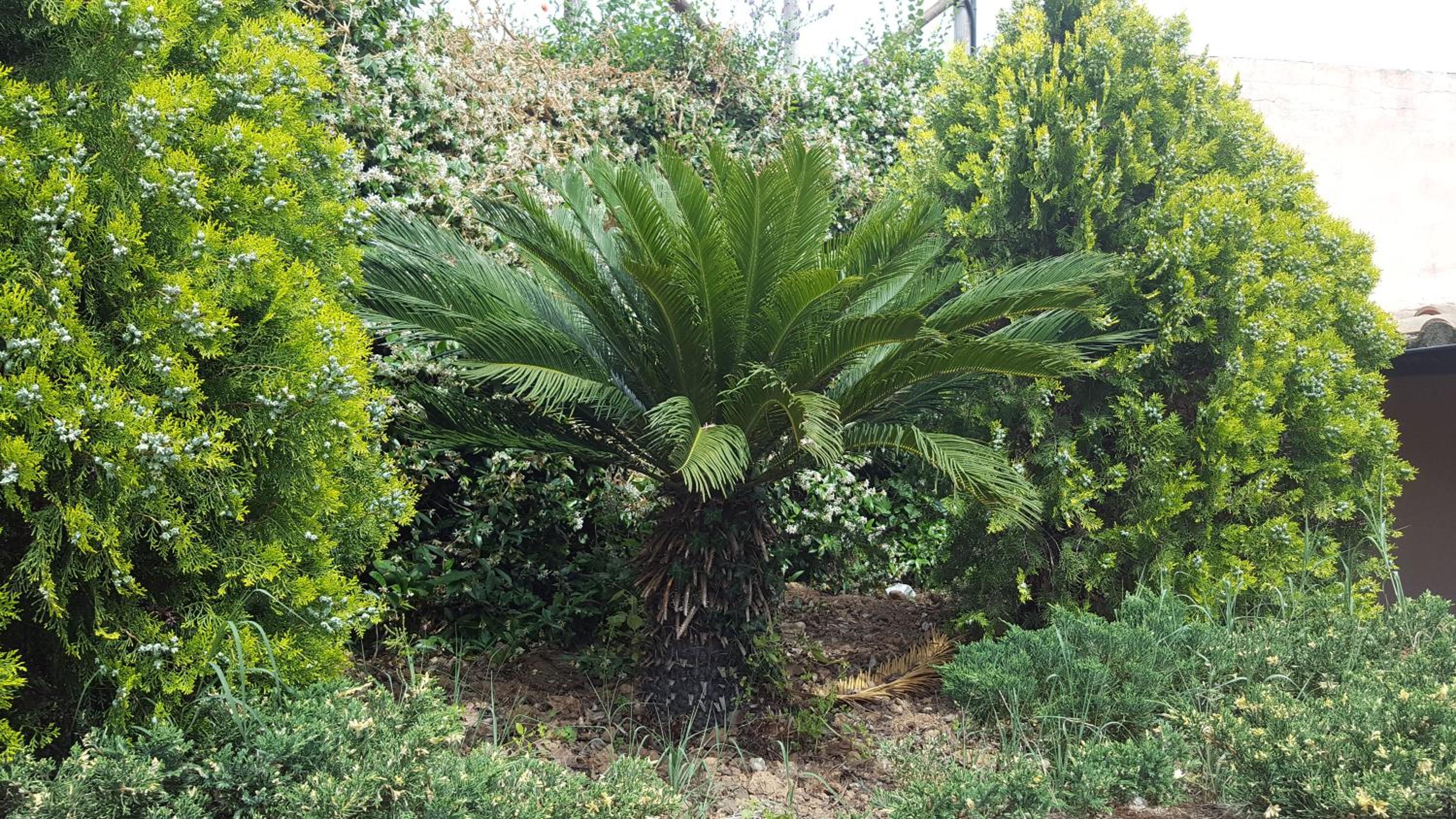 Azienda Agricola Sinisi