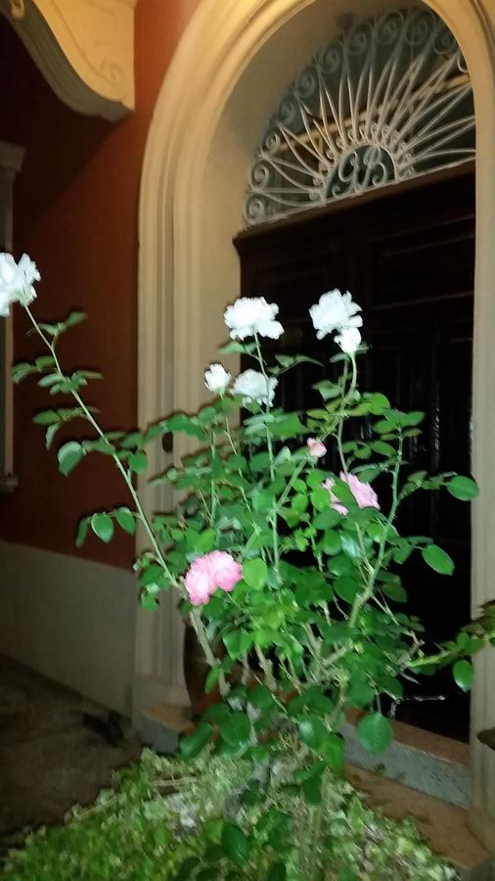 Photo 44