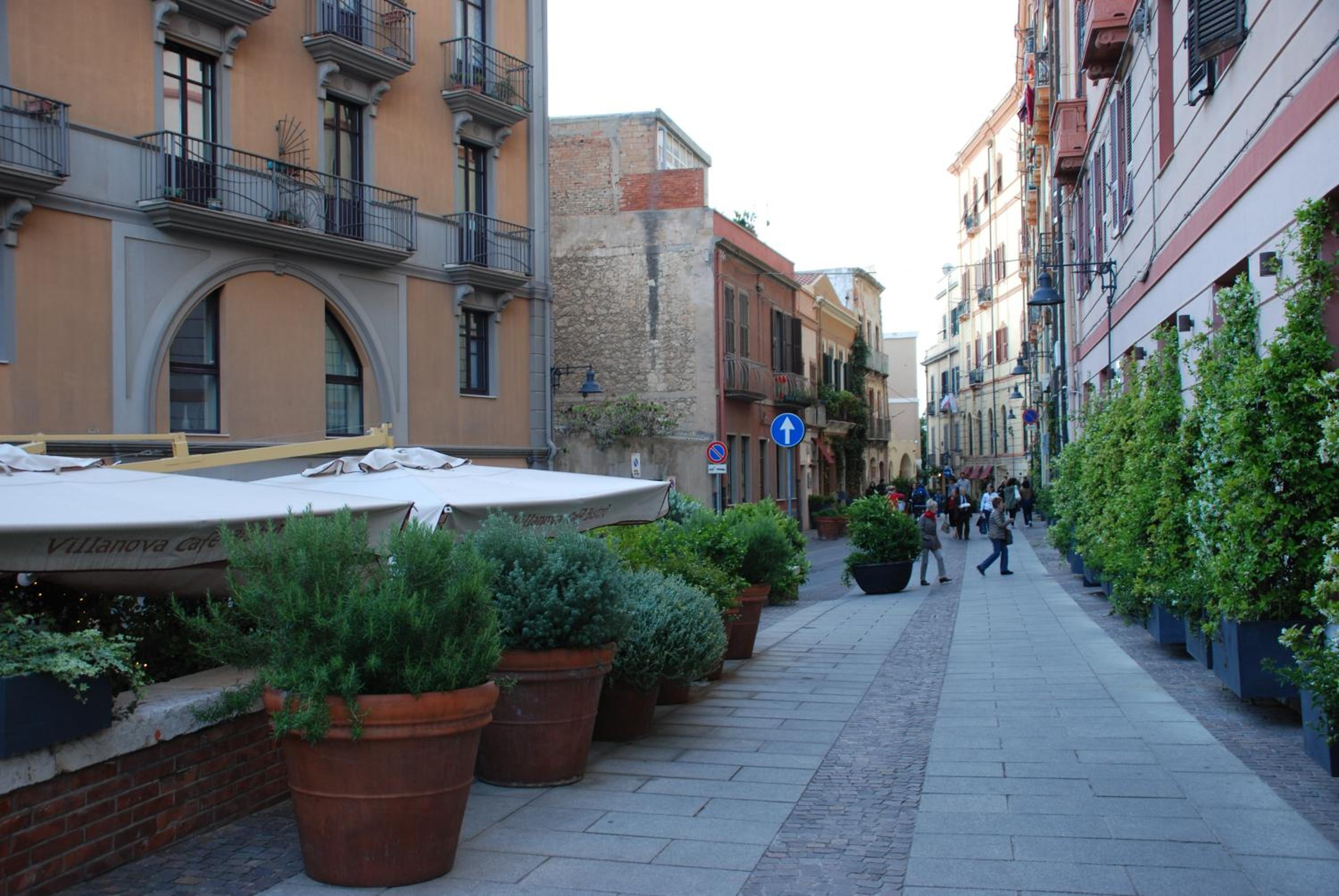Photo 42