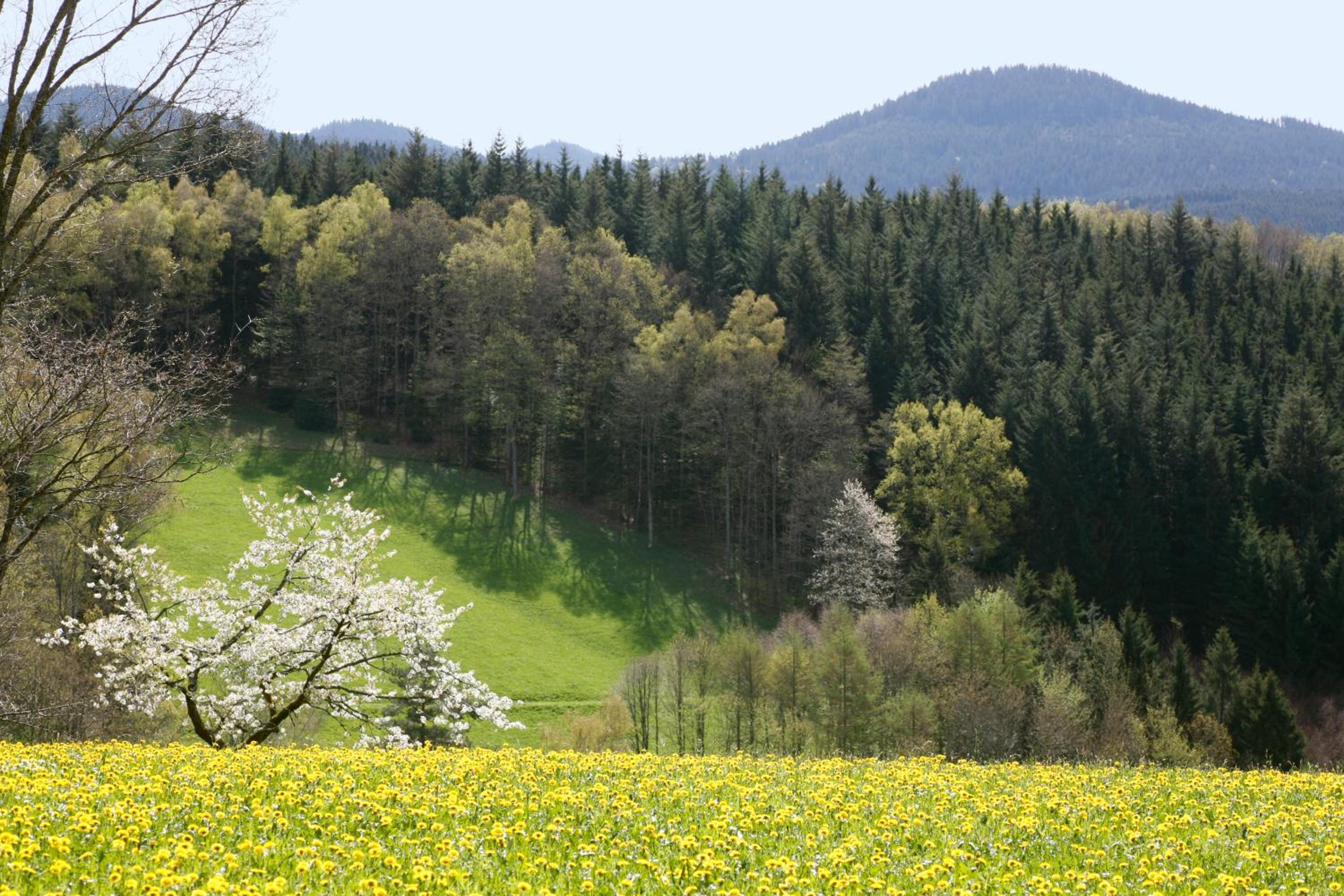 Schmalzerhisli view 2