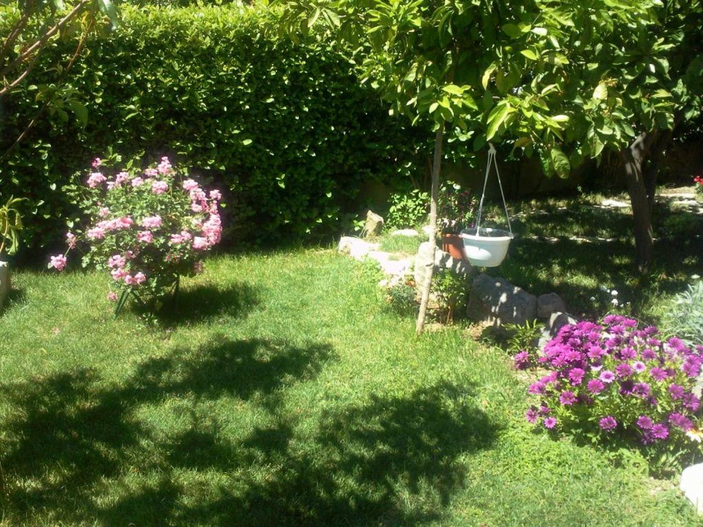 Photo 13