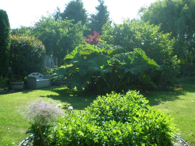 Island View B&B