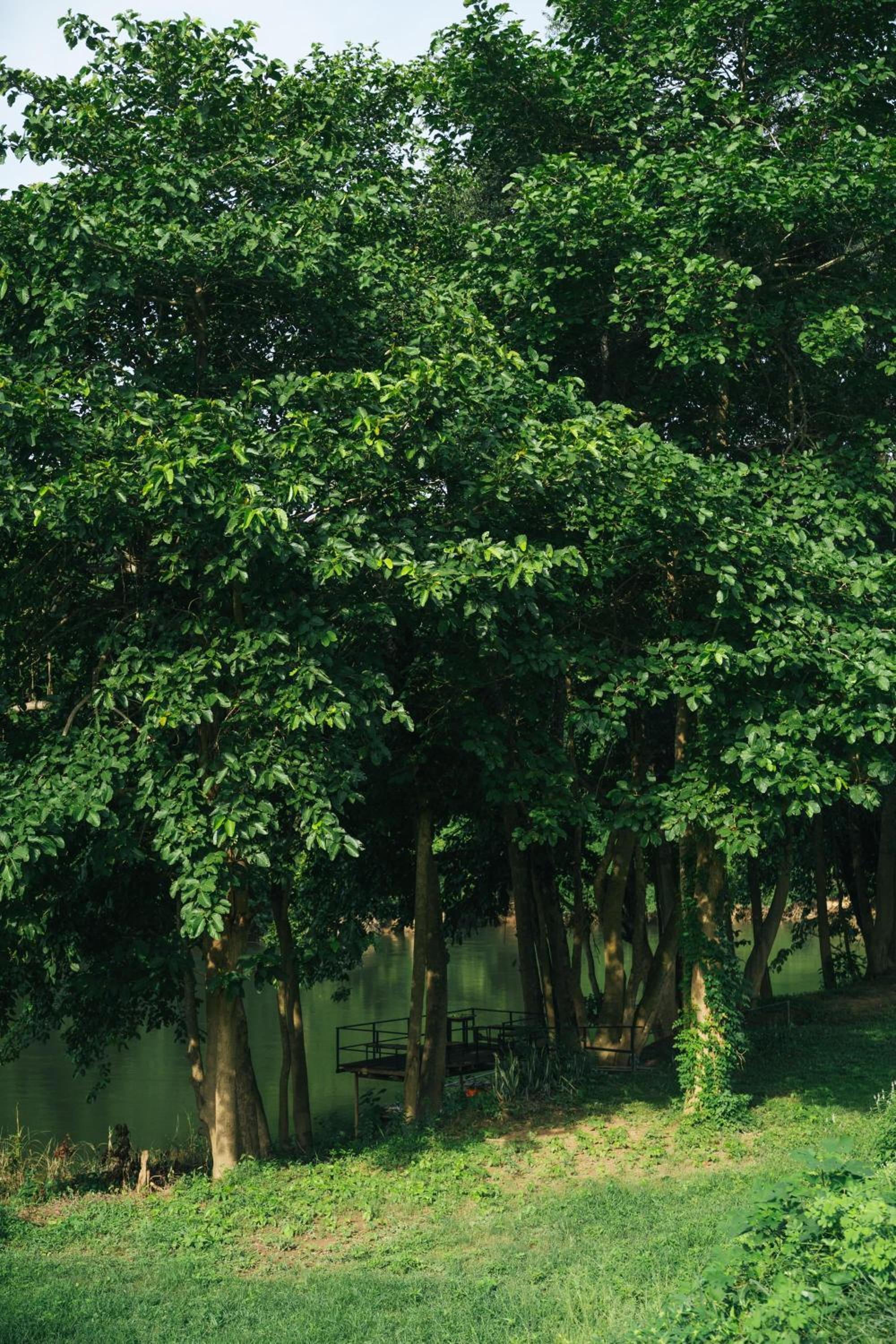 Chong khaep aingkwai resort Saiyok