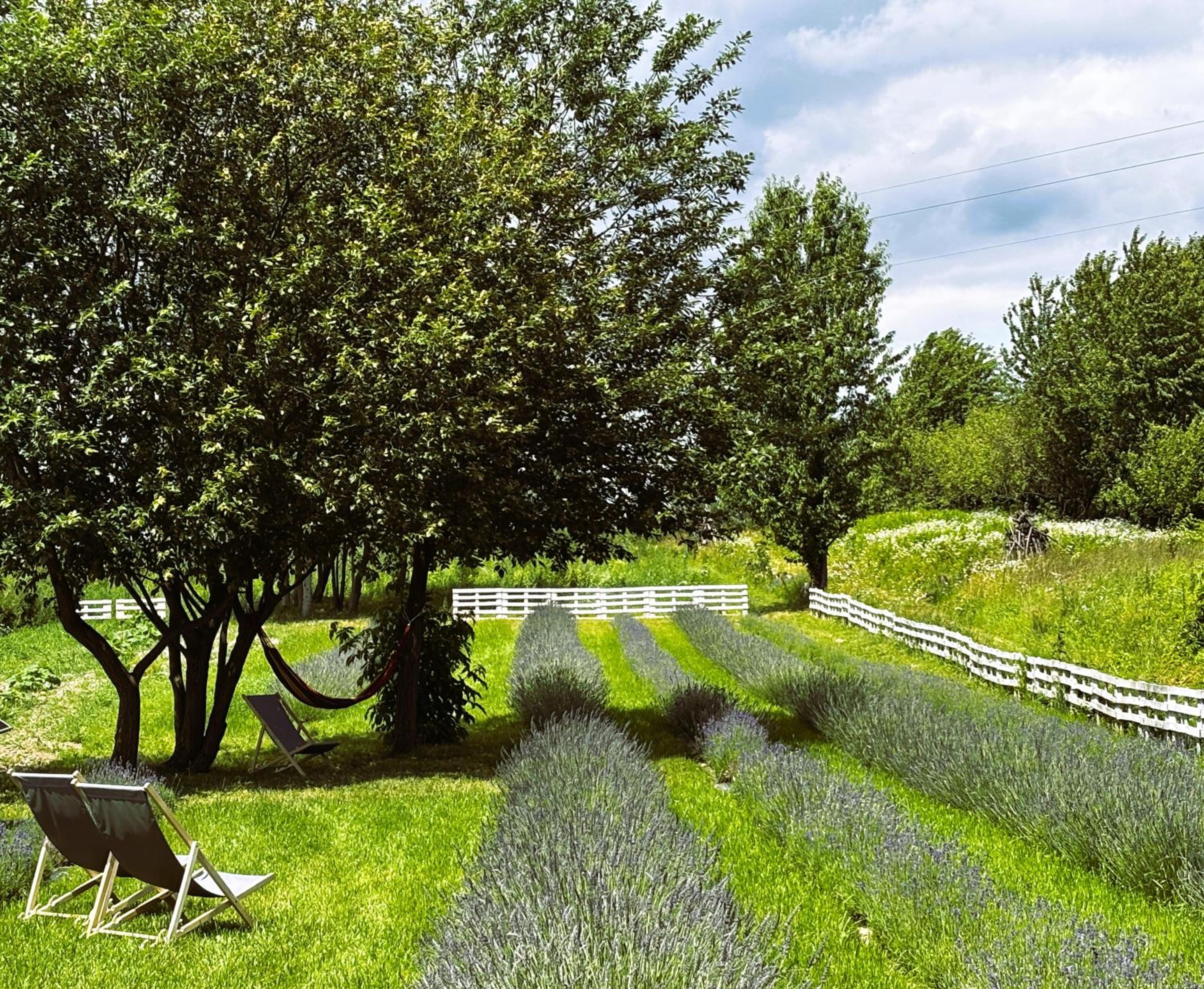 Glamping Stacja Zieleniec w Nałęczowie