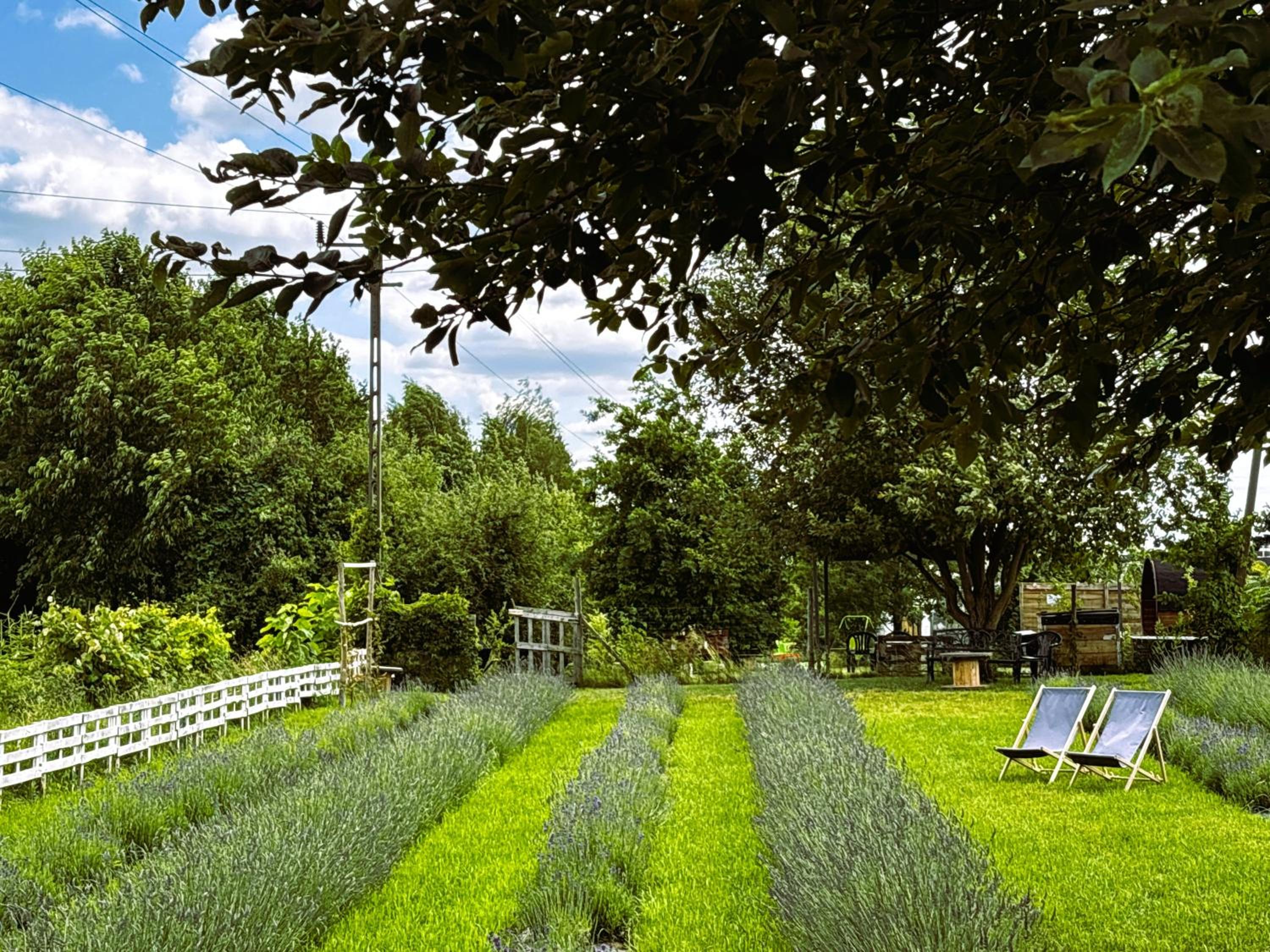 Glamping Stacja Zieleniec w Nałęczowie