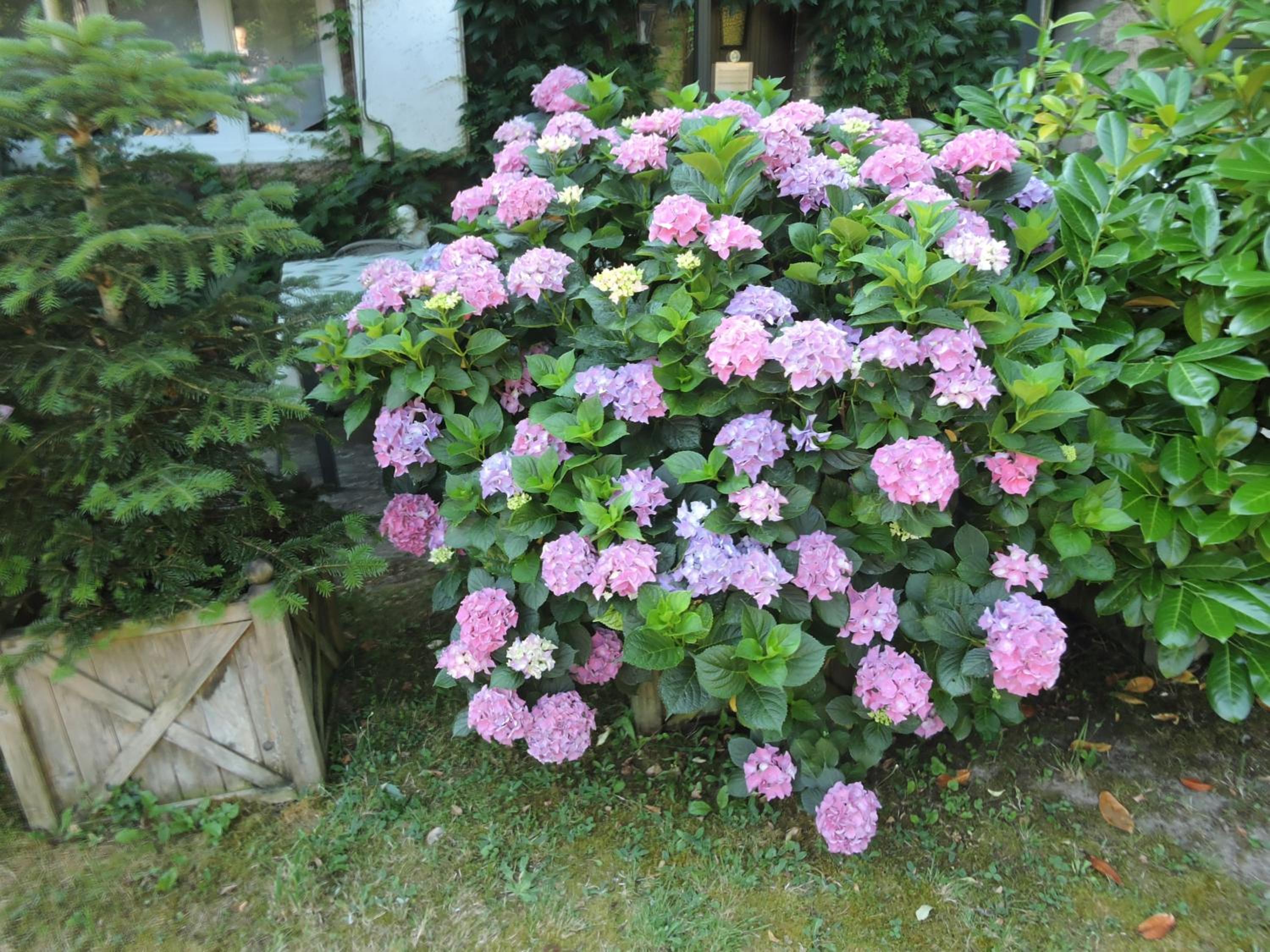 Photo 29