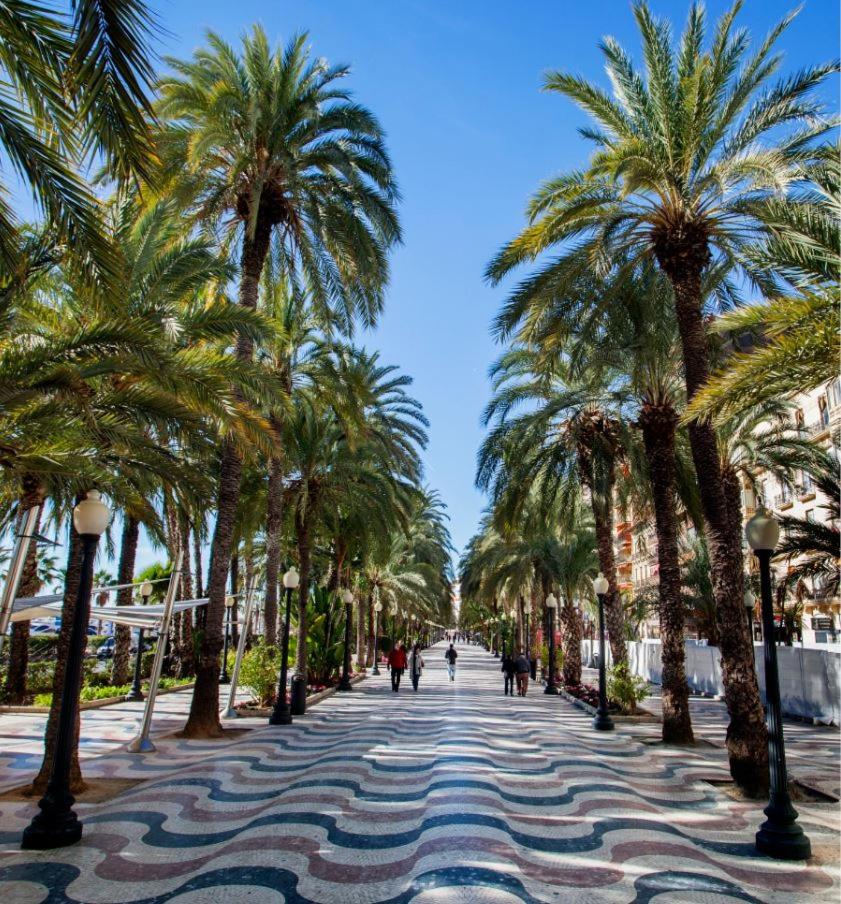 Luxury Escape by the Beach and City Center