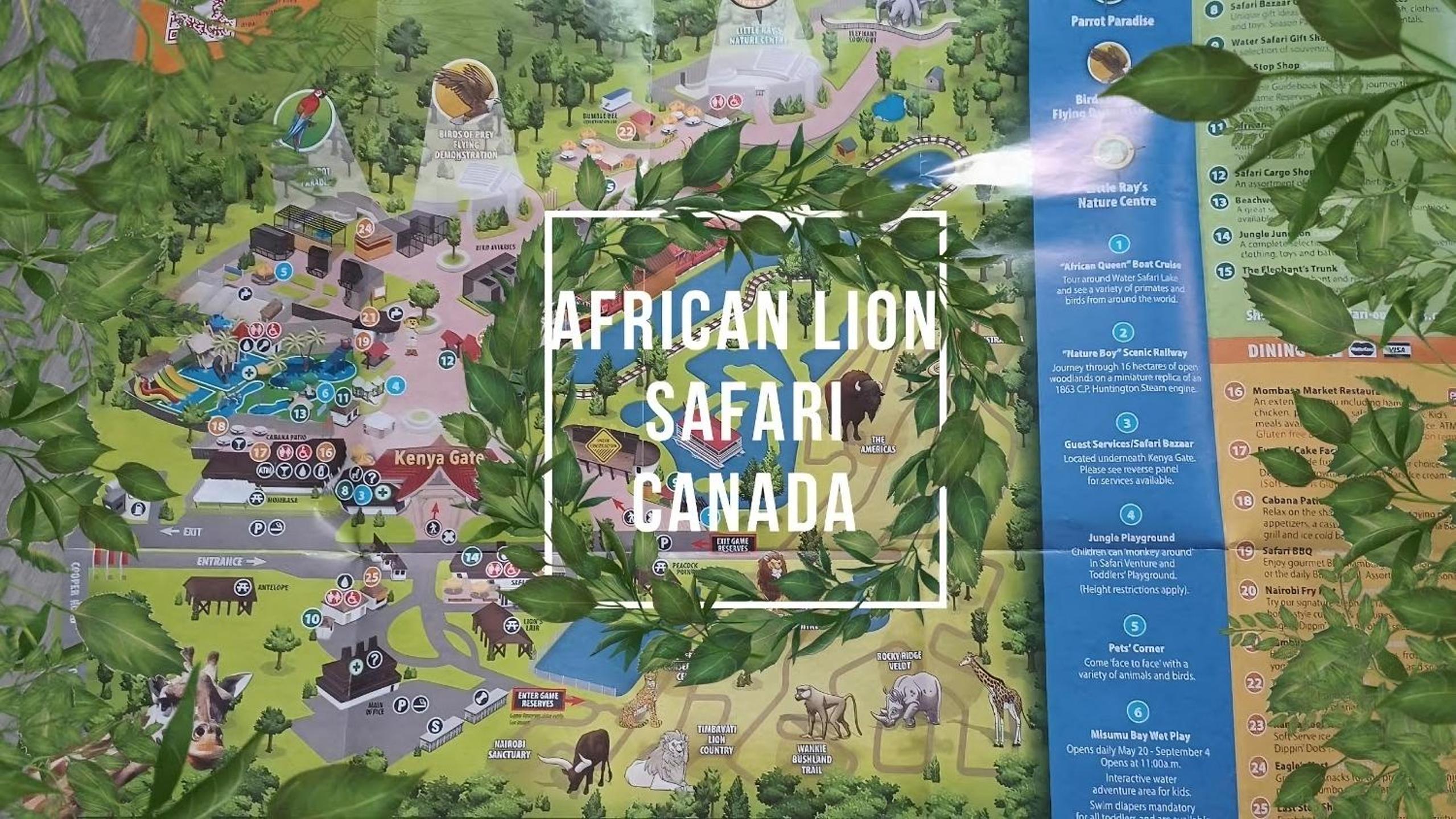 2024 Built Stylish 3BR Cambridge Townhouse with Foosball, Free Parking, WiFi, Full Kitchen, Laundry, 8 Min Drive to African Lion Safari! Perfect for Group 