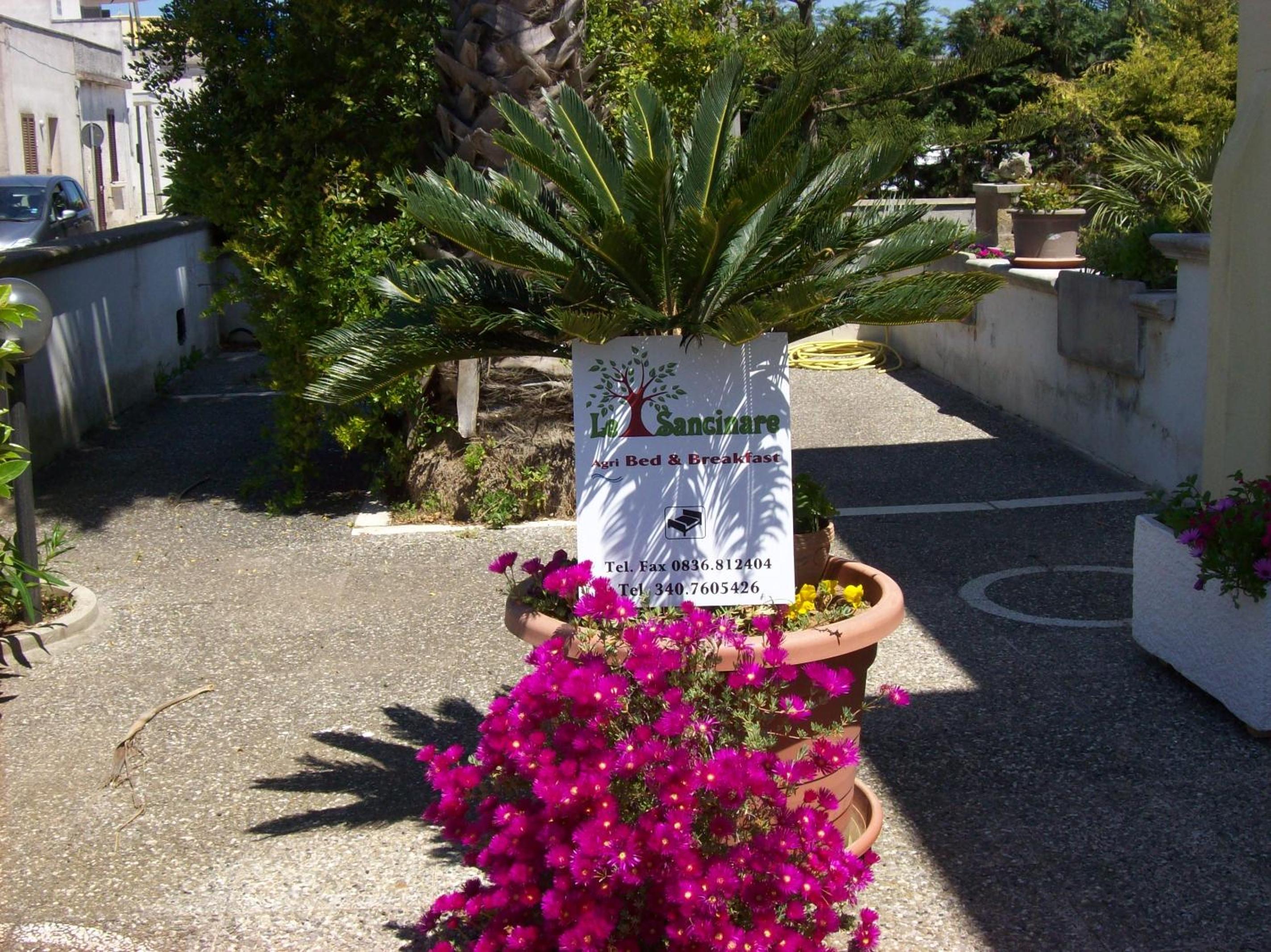 Otranto Le Sancinare