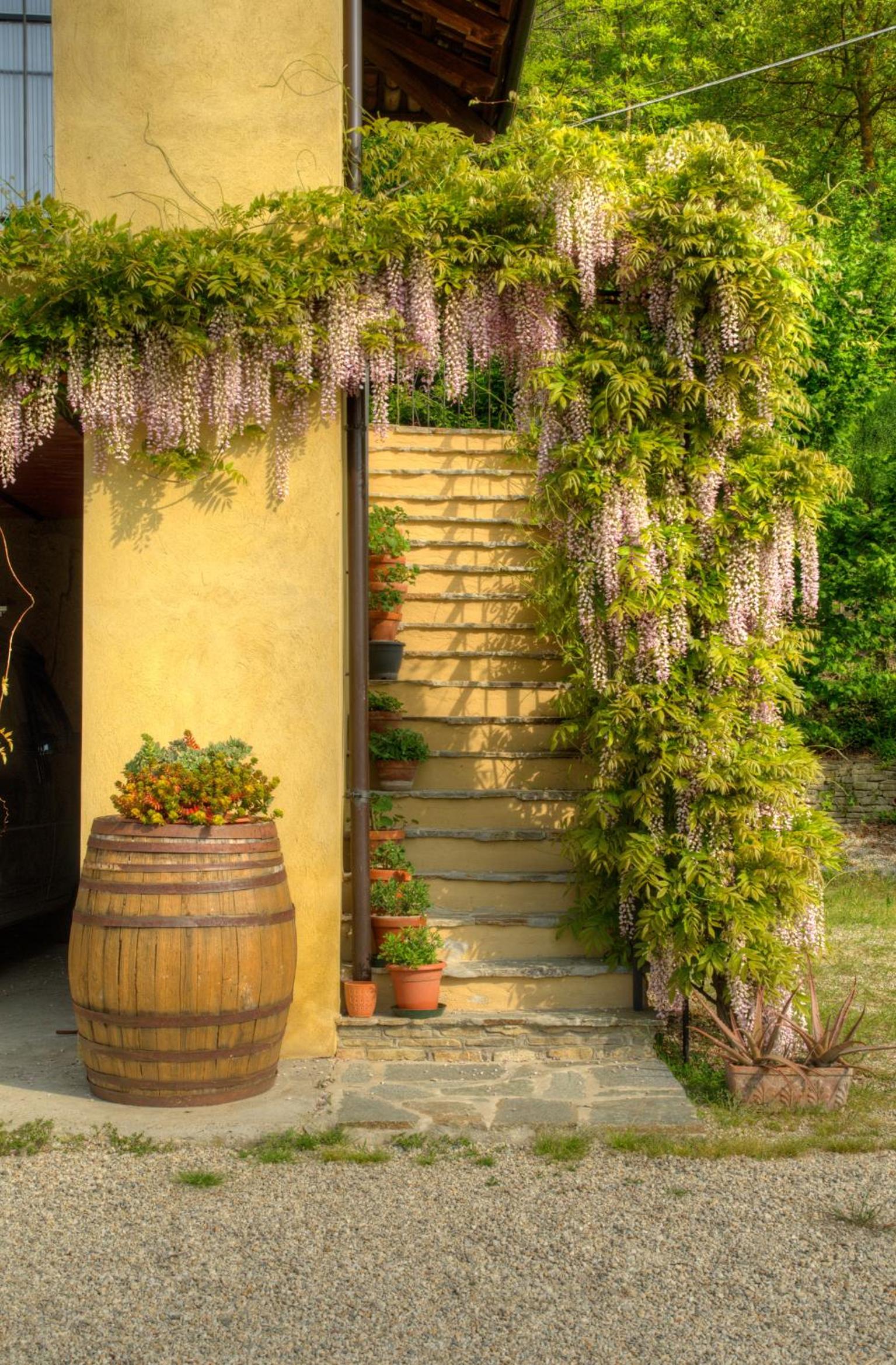B&B Il Sole Delle Rive