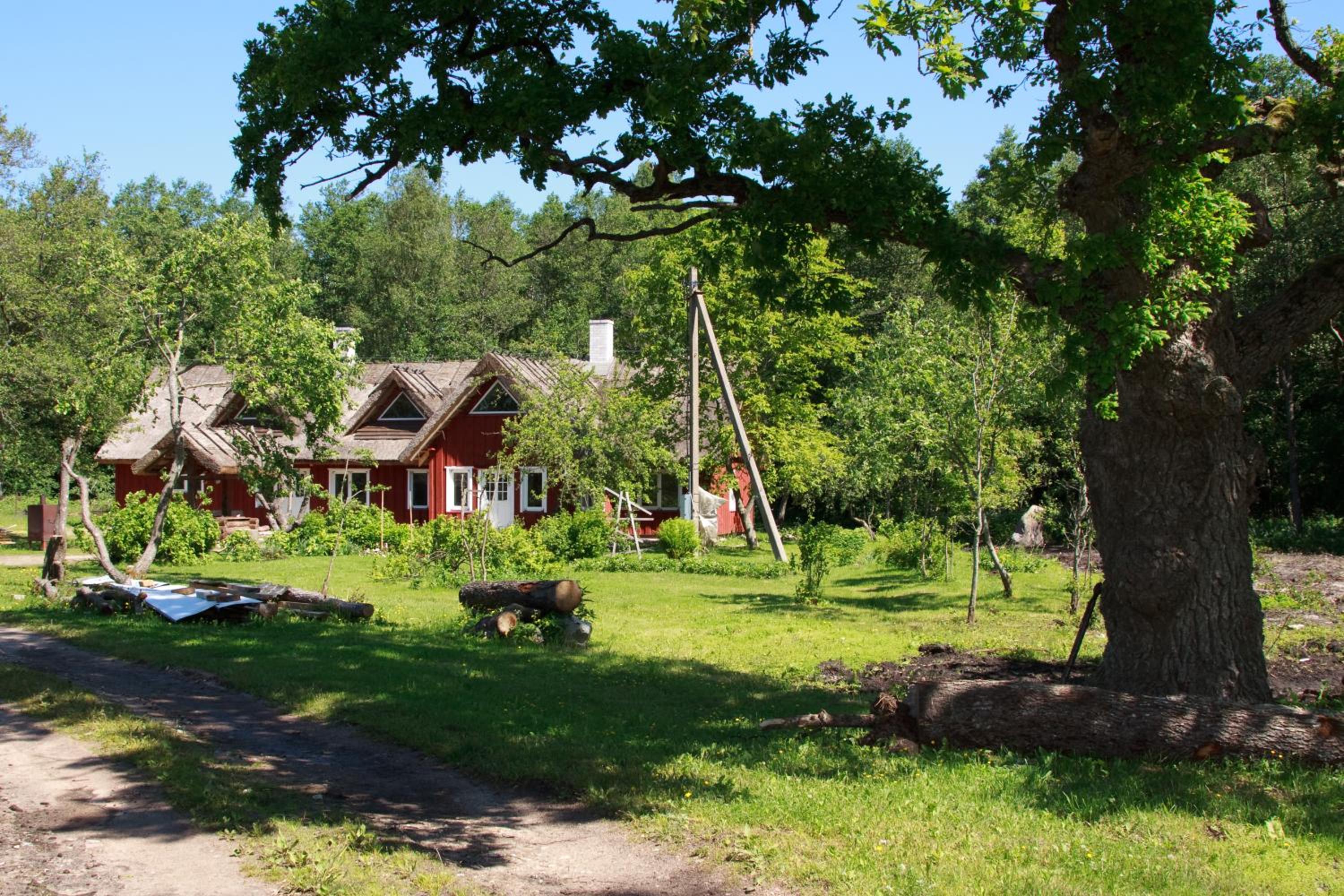 Photo 6