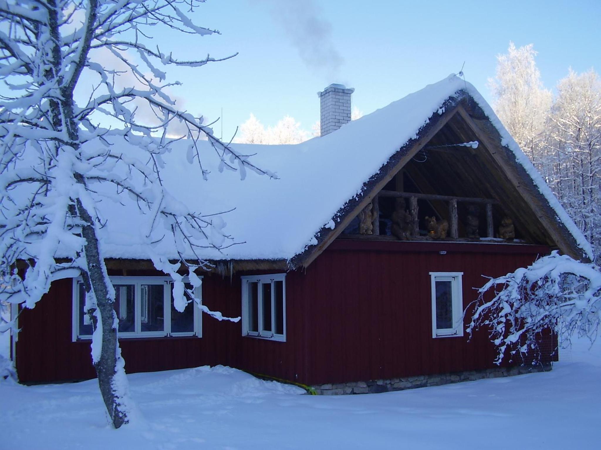 Photo 47