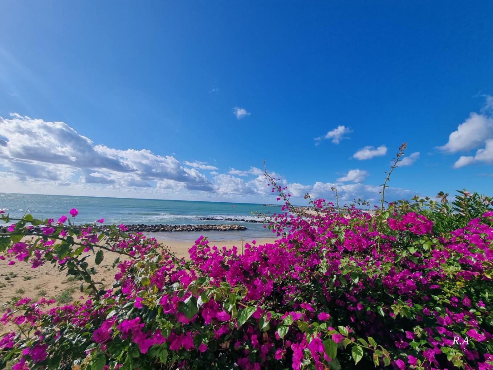 Vacanze da Beppuccio Scoglitti