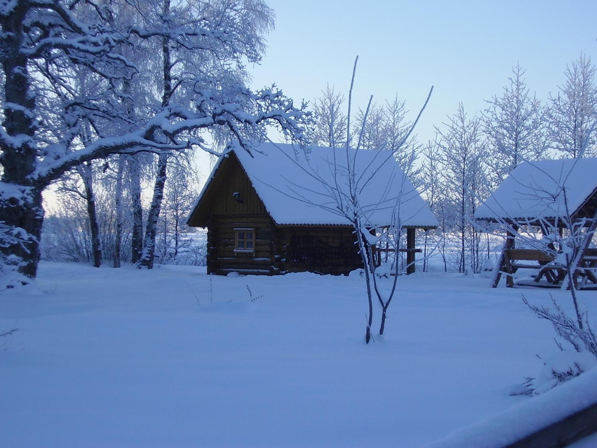 Photo 46
