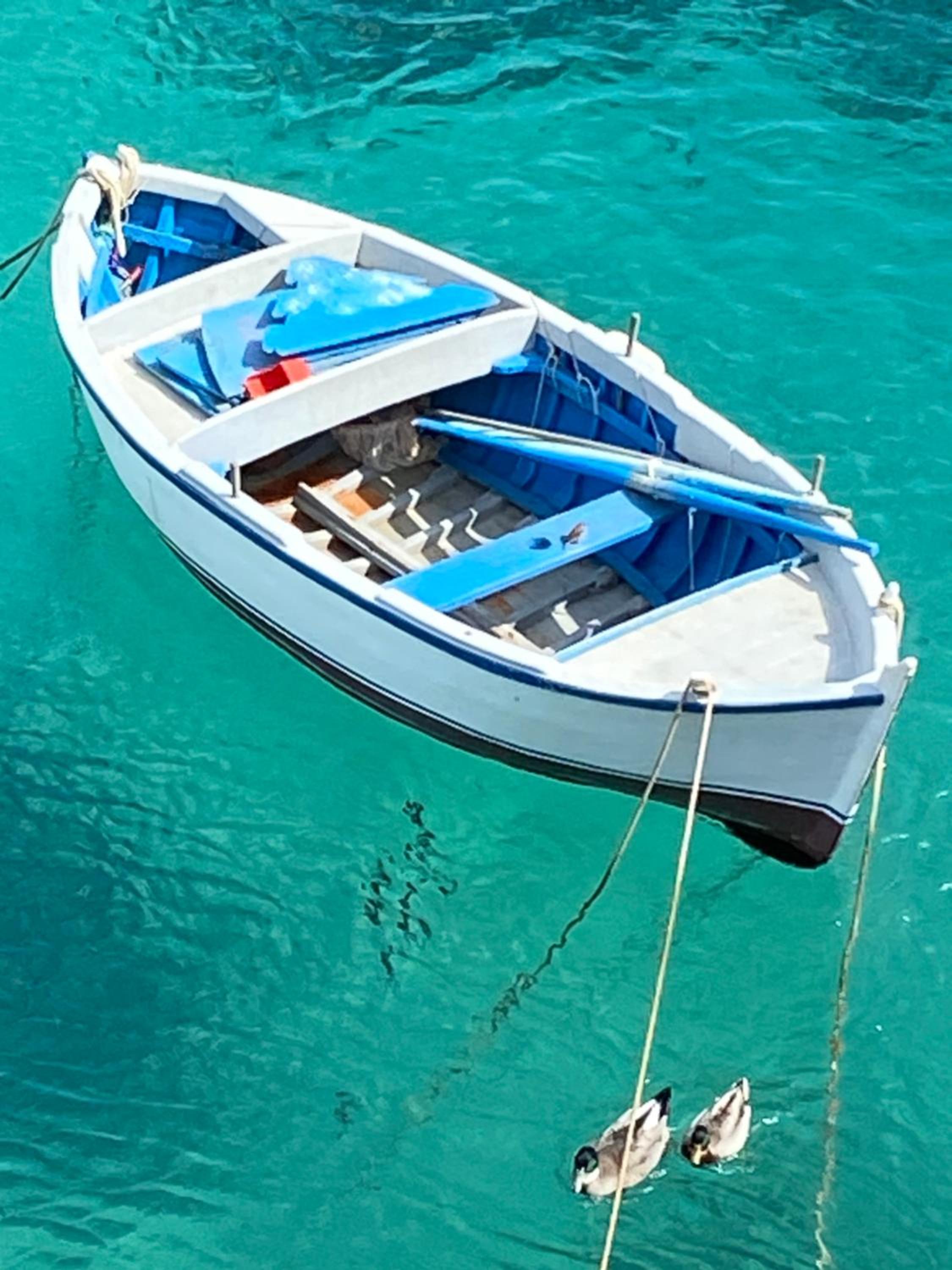 Casa Buongiorno Salento, photo 31