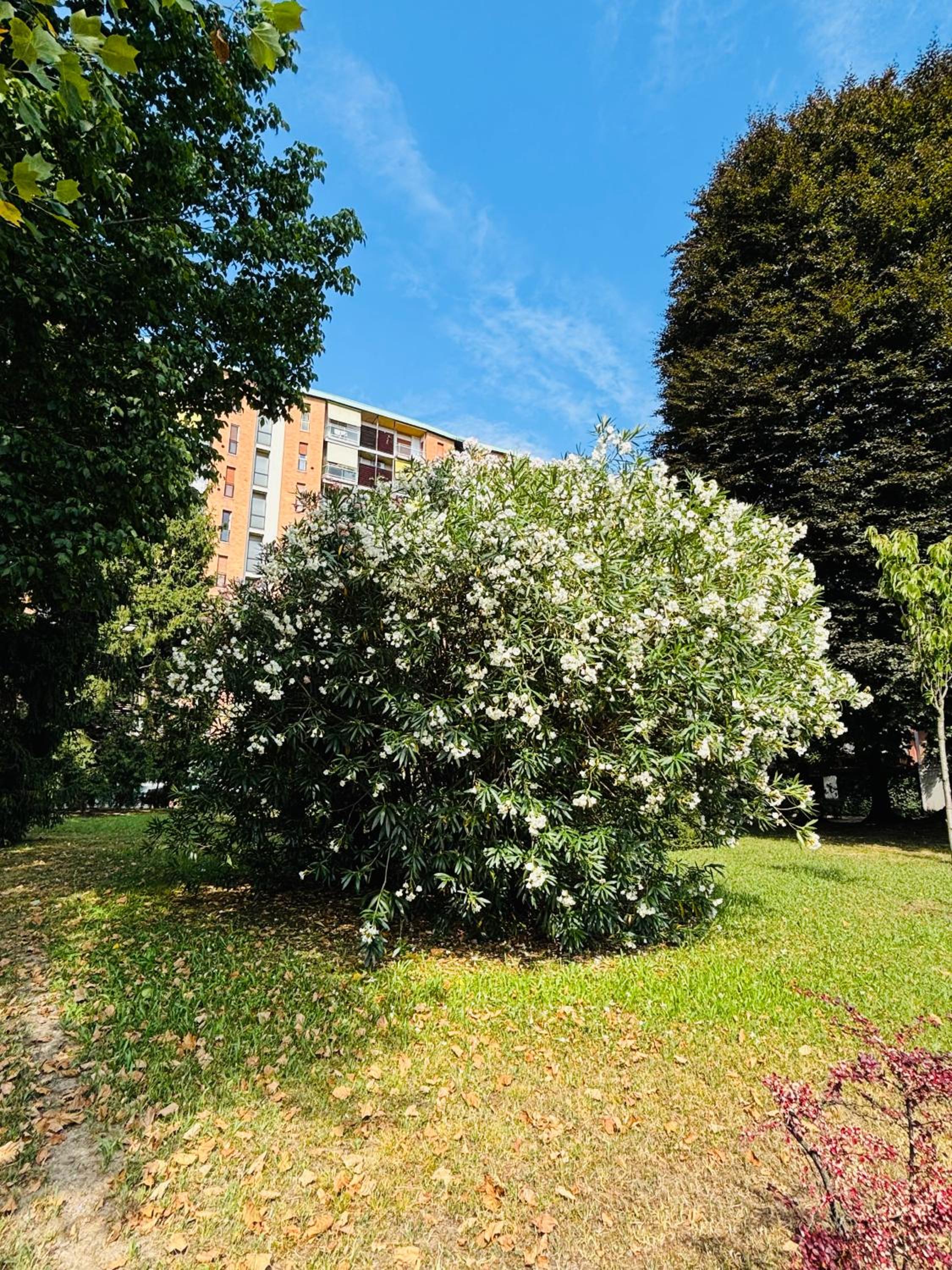 Vittoria citylife apartment