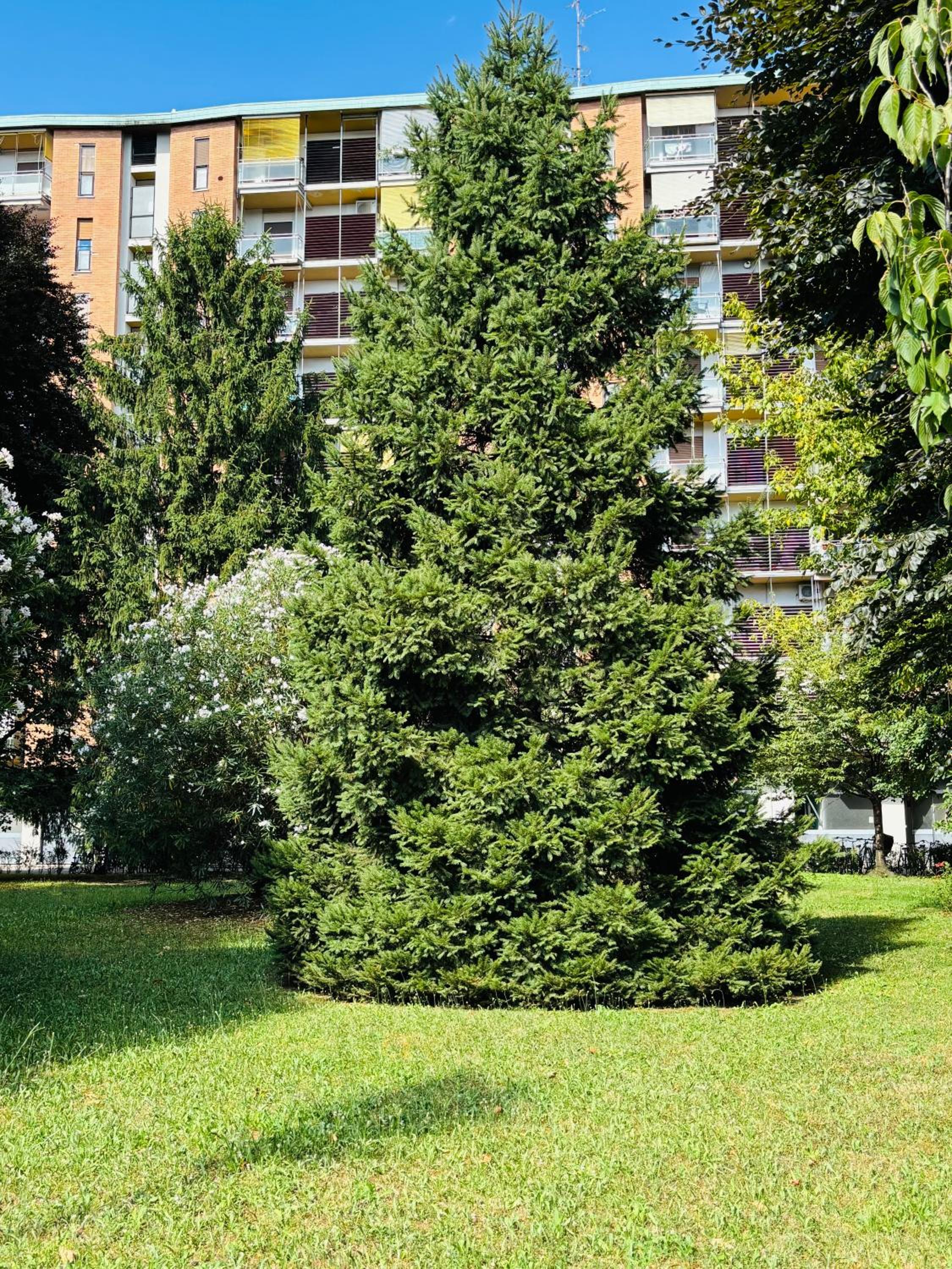 Vittoria citylife apartment