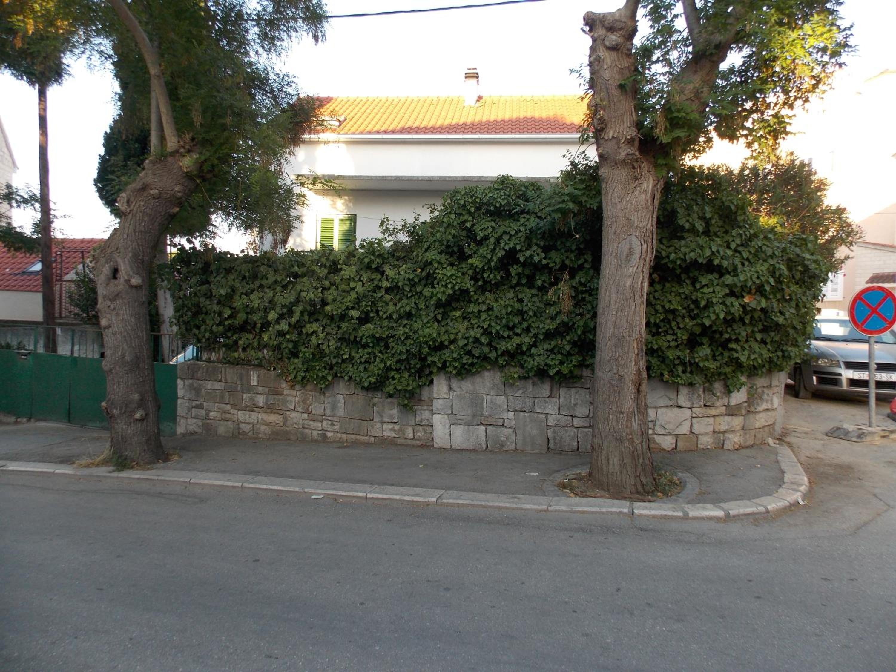 Photo 51